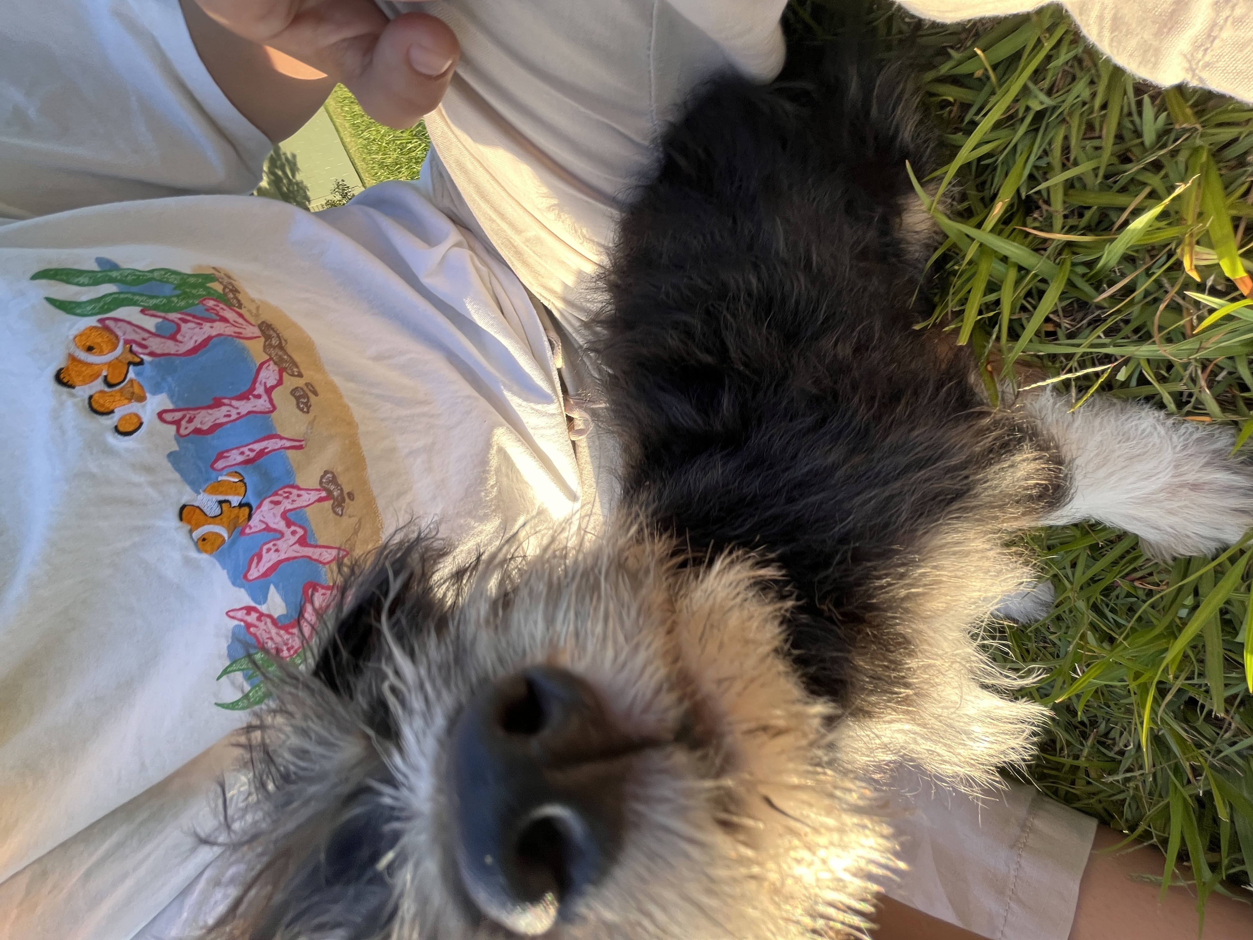 image-7