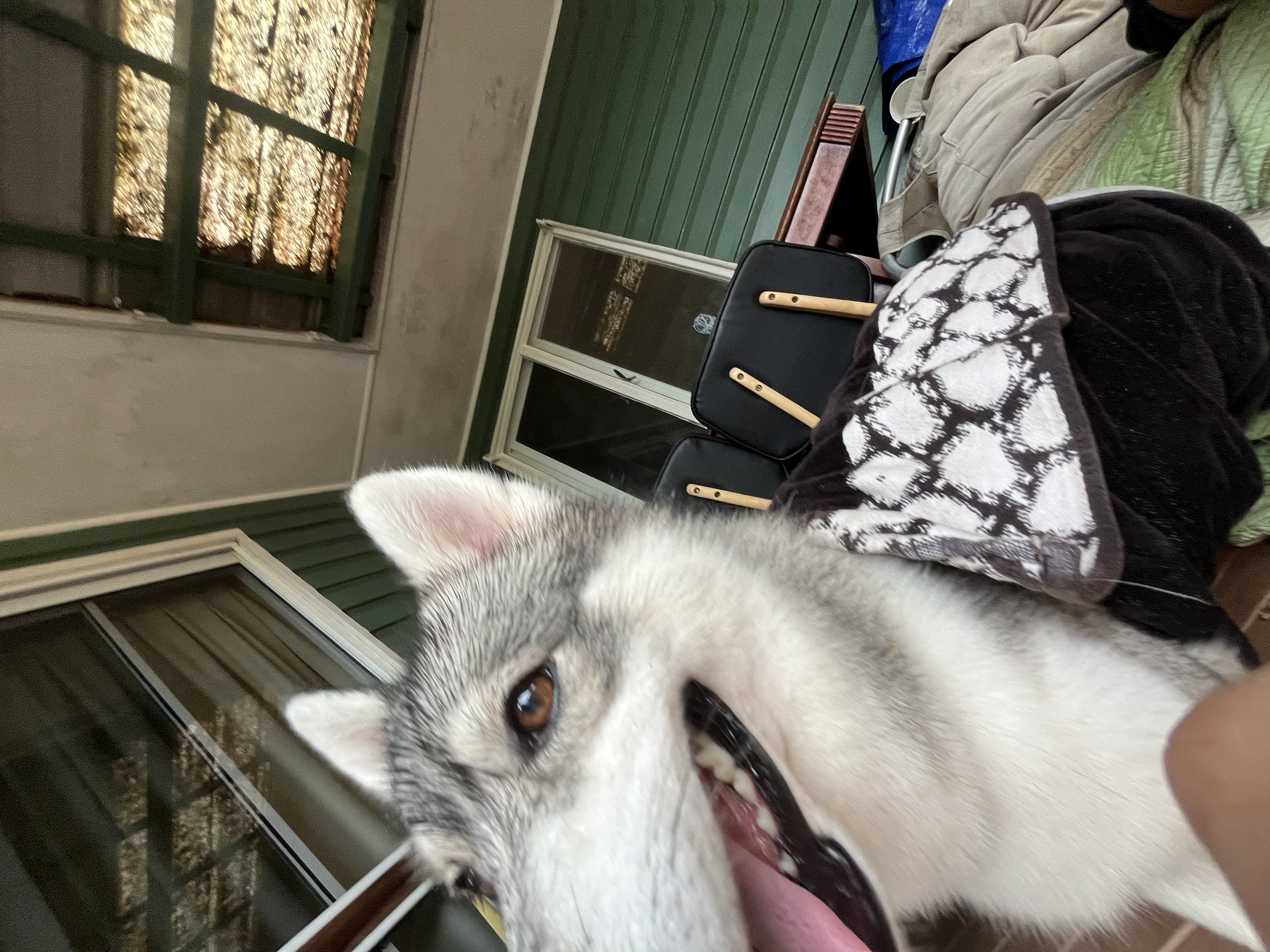 image-5
