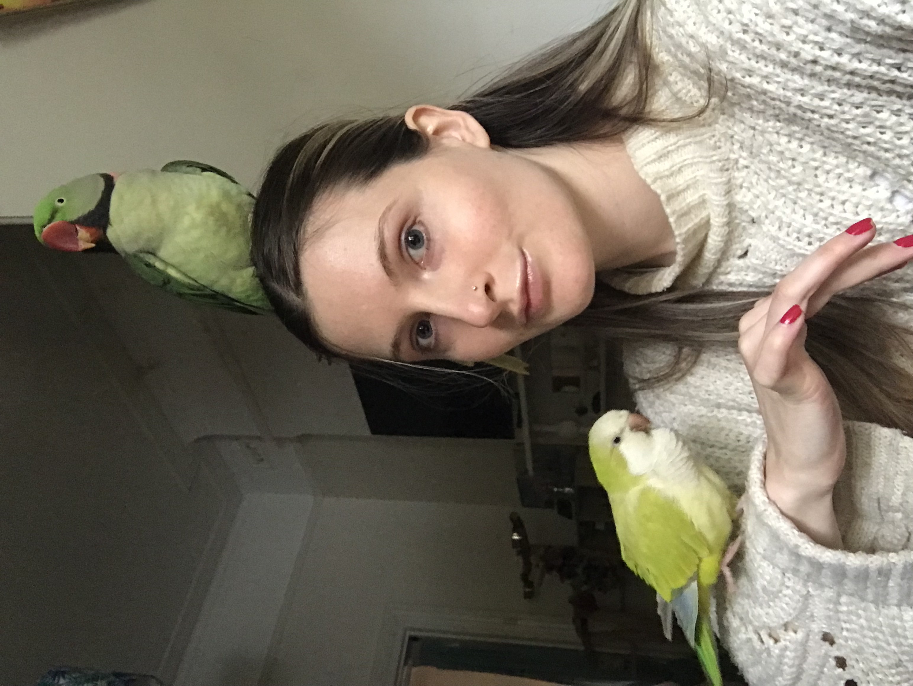 image-5
