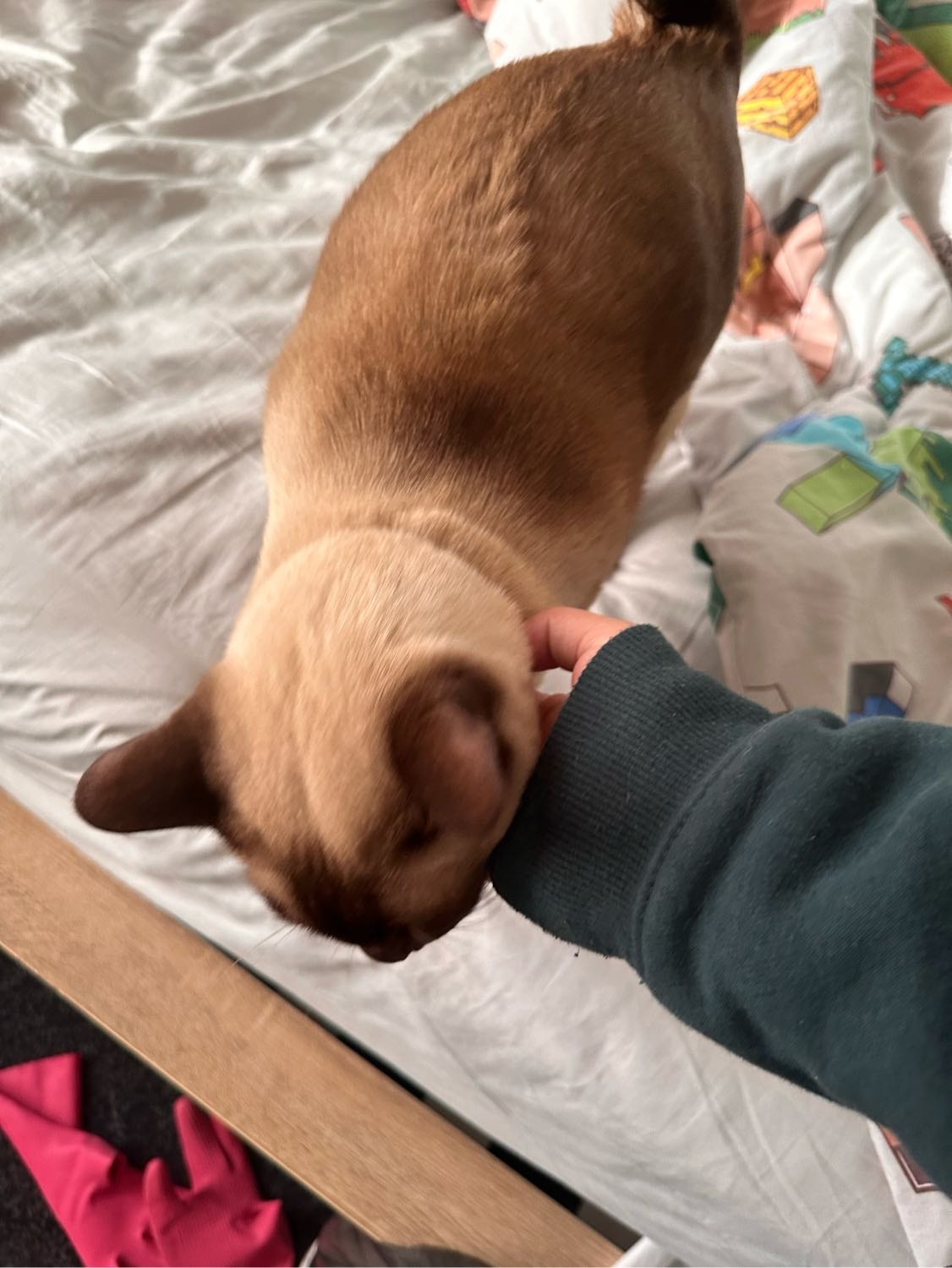 image-8