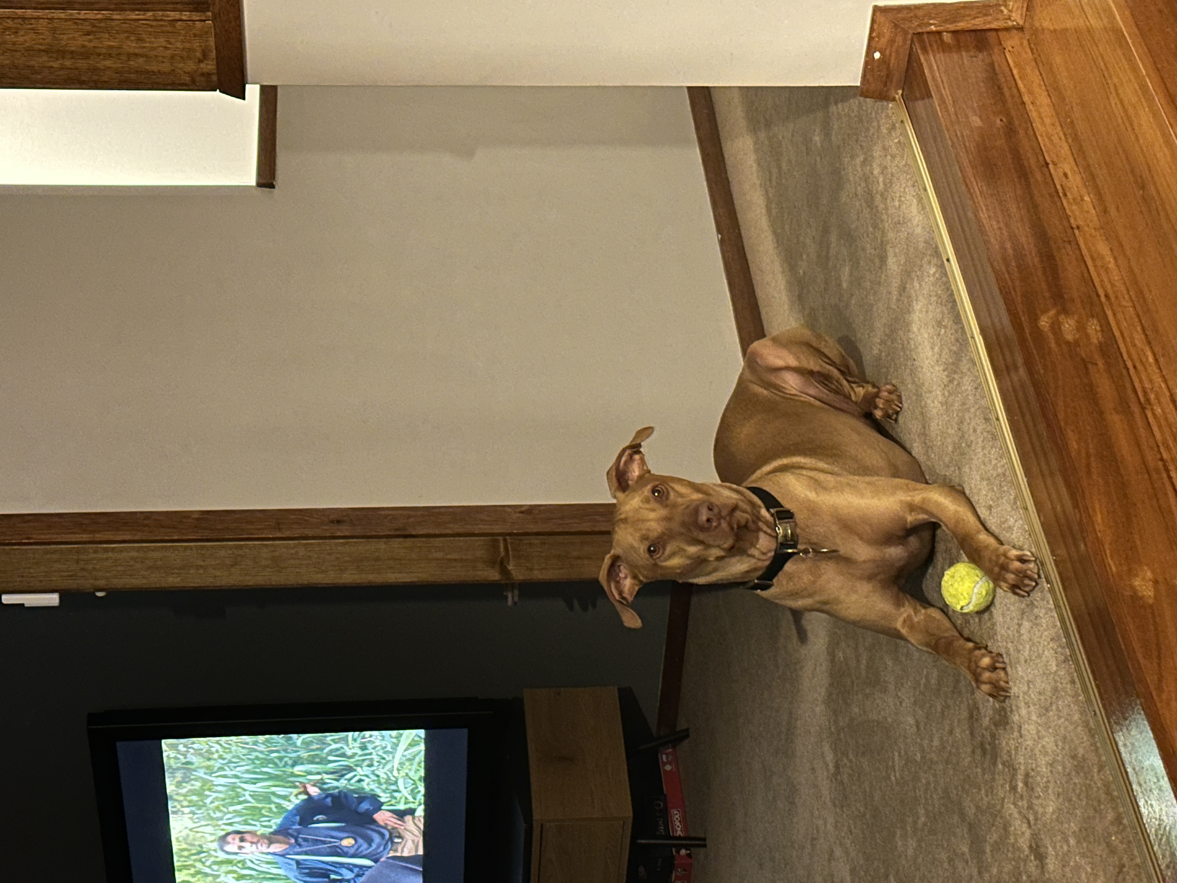 image-14