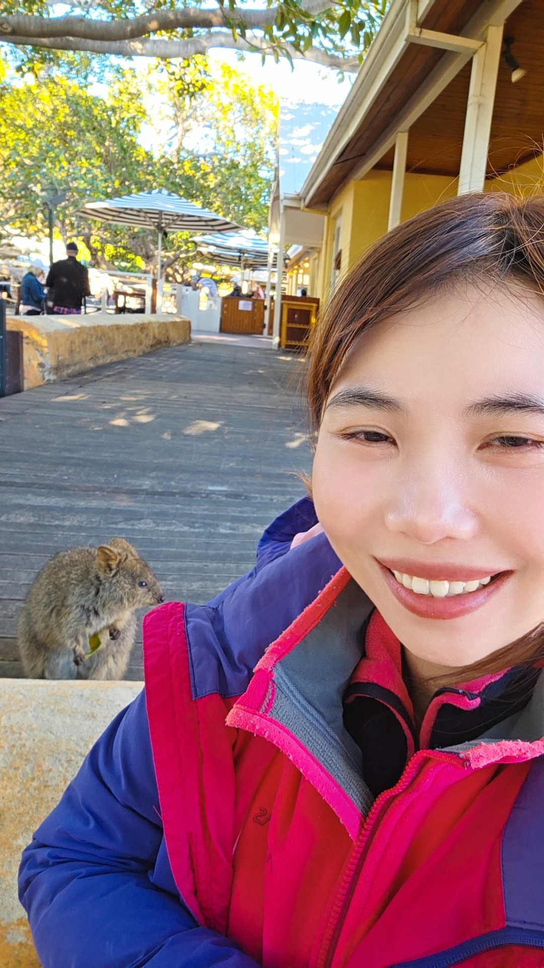 image-8