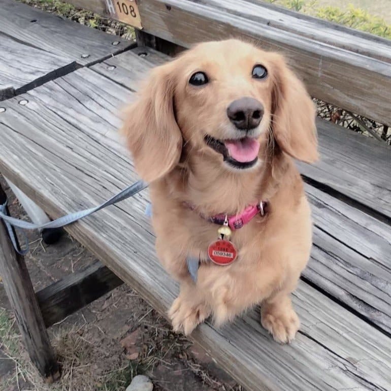 LiLi