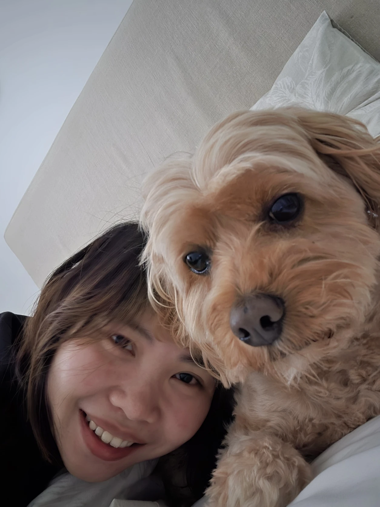 image-6