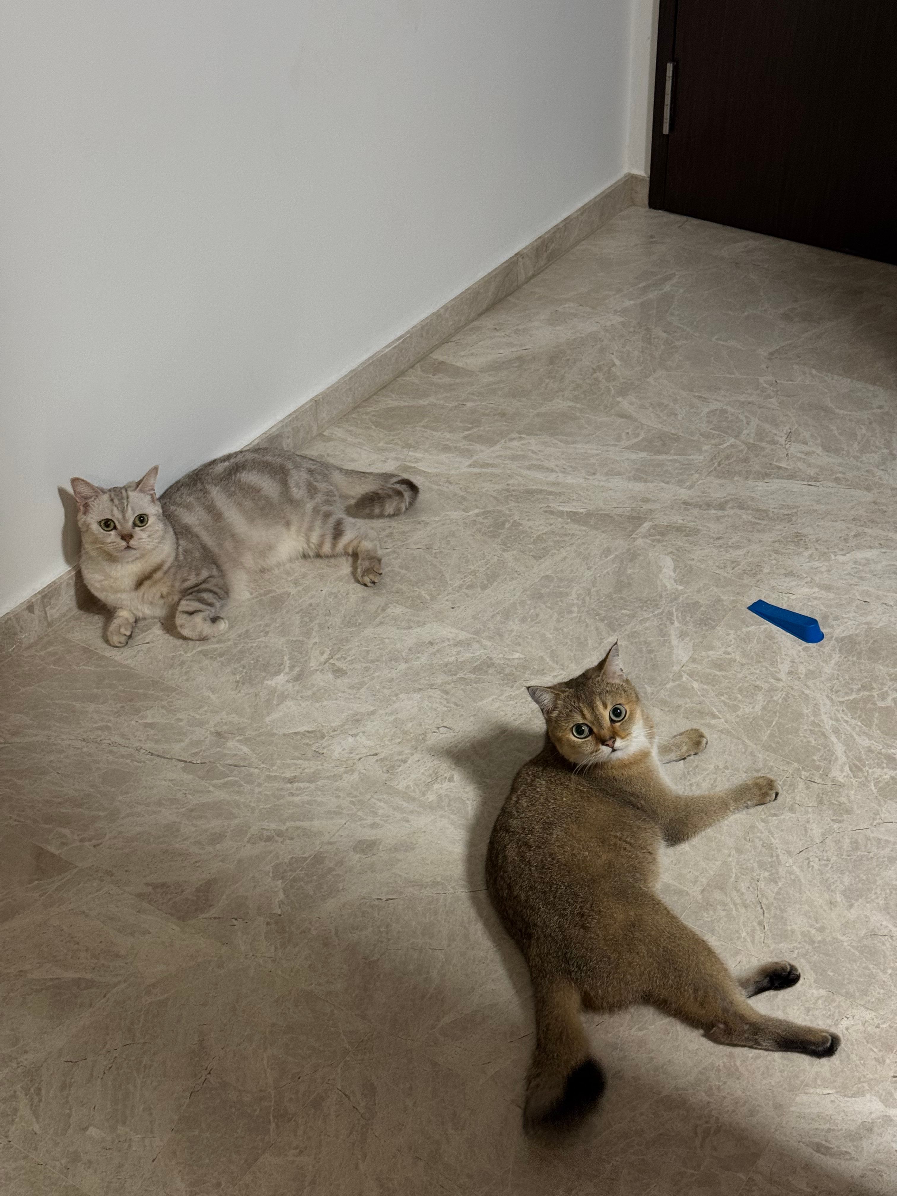 image-10