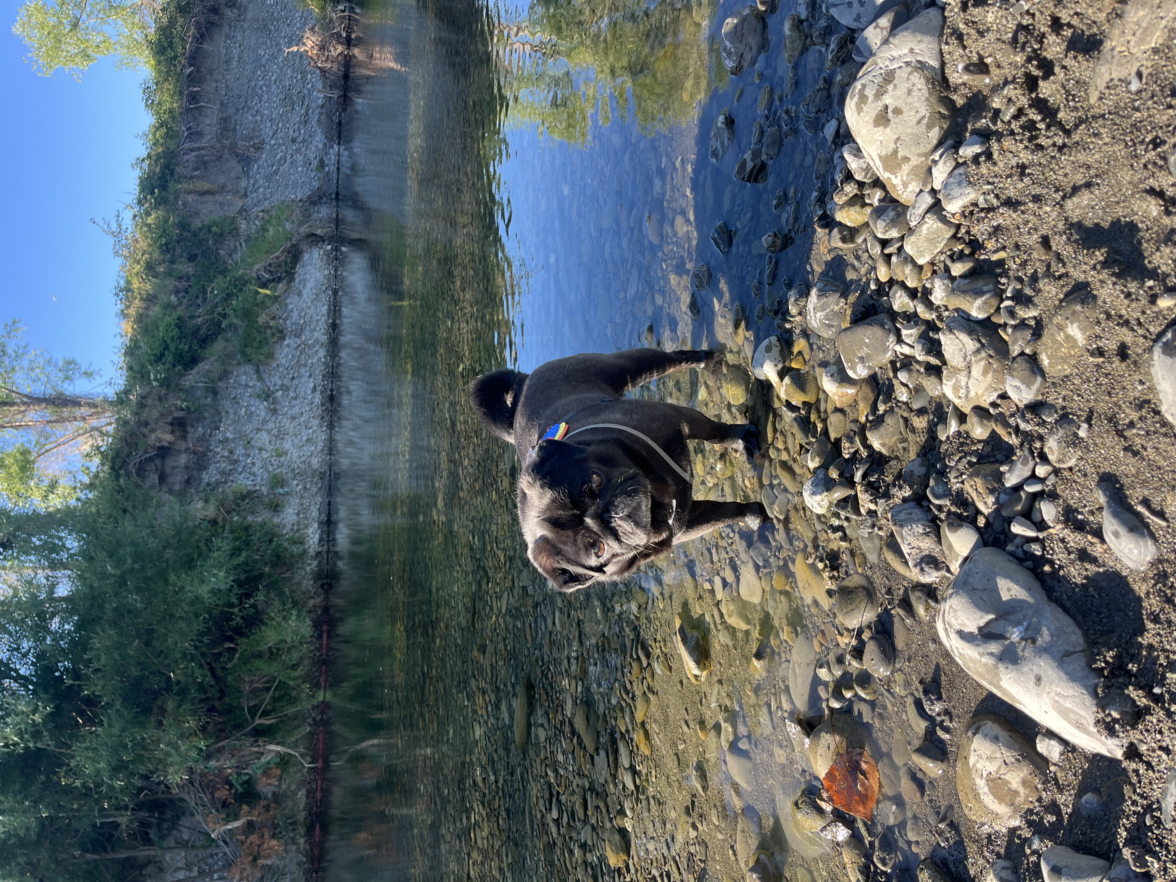image-8