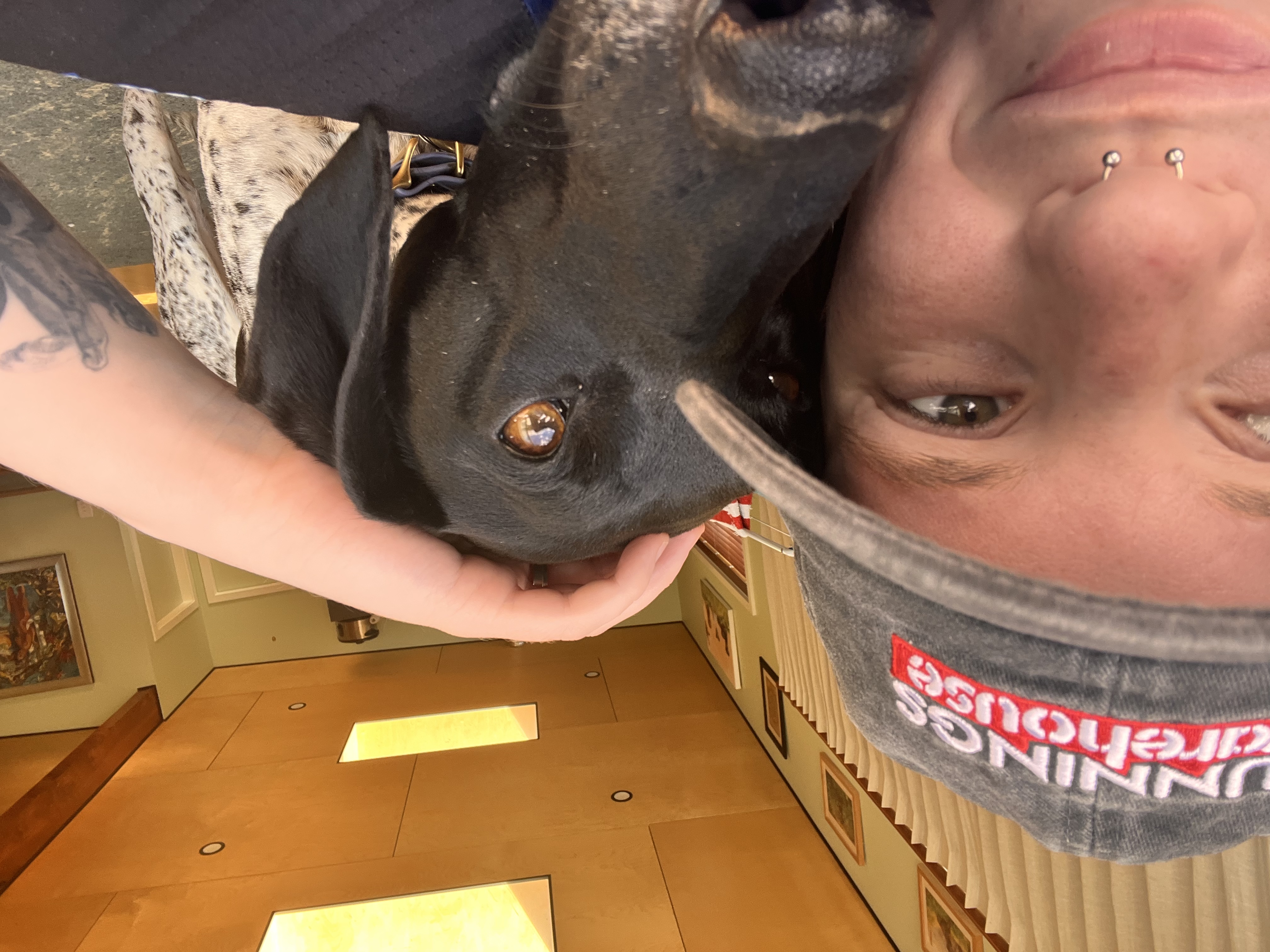 image-11
