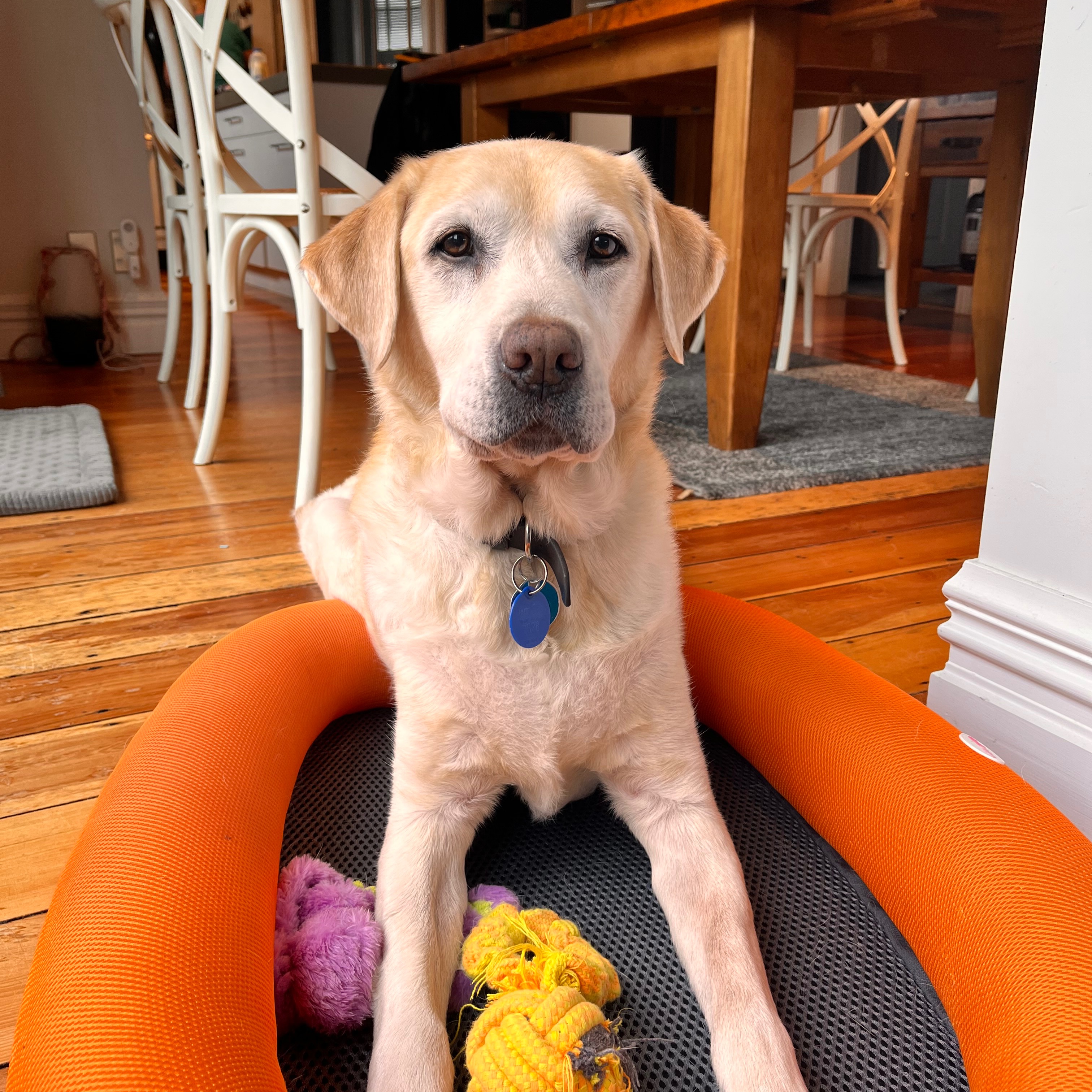 Max