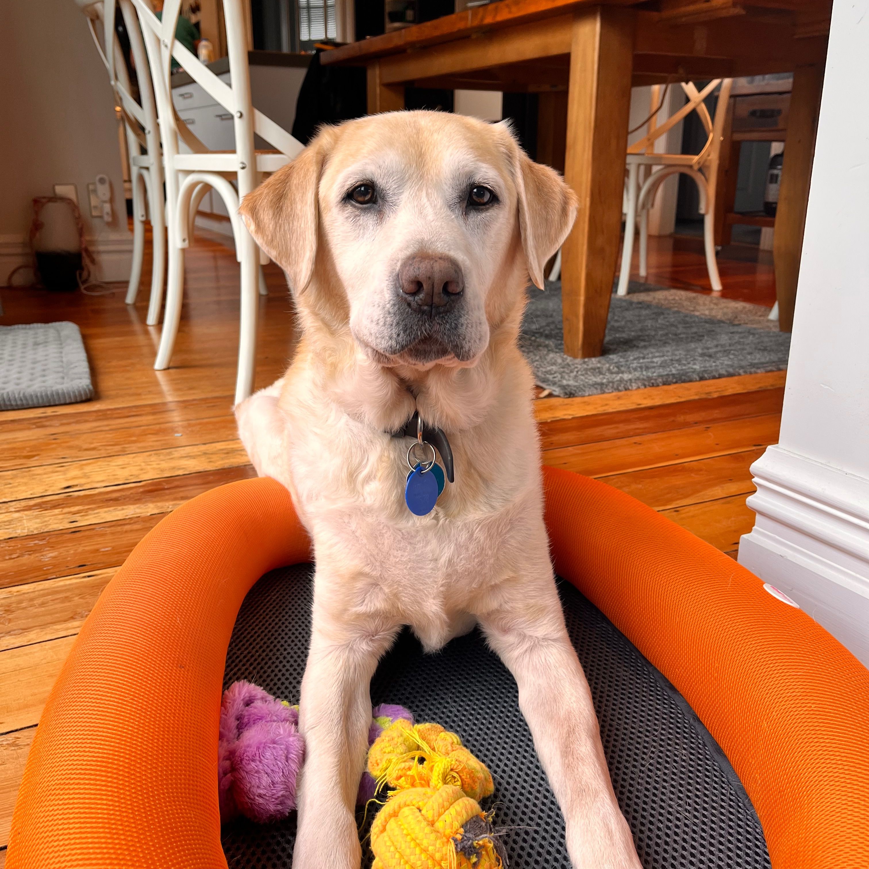 Max