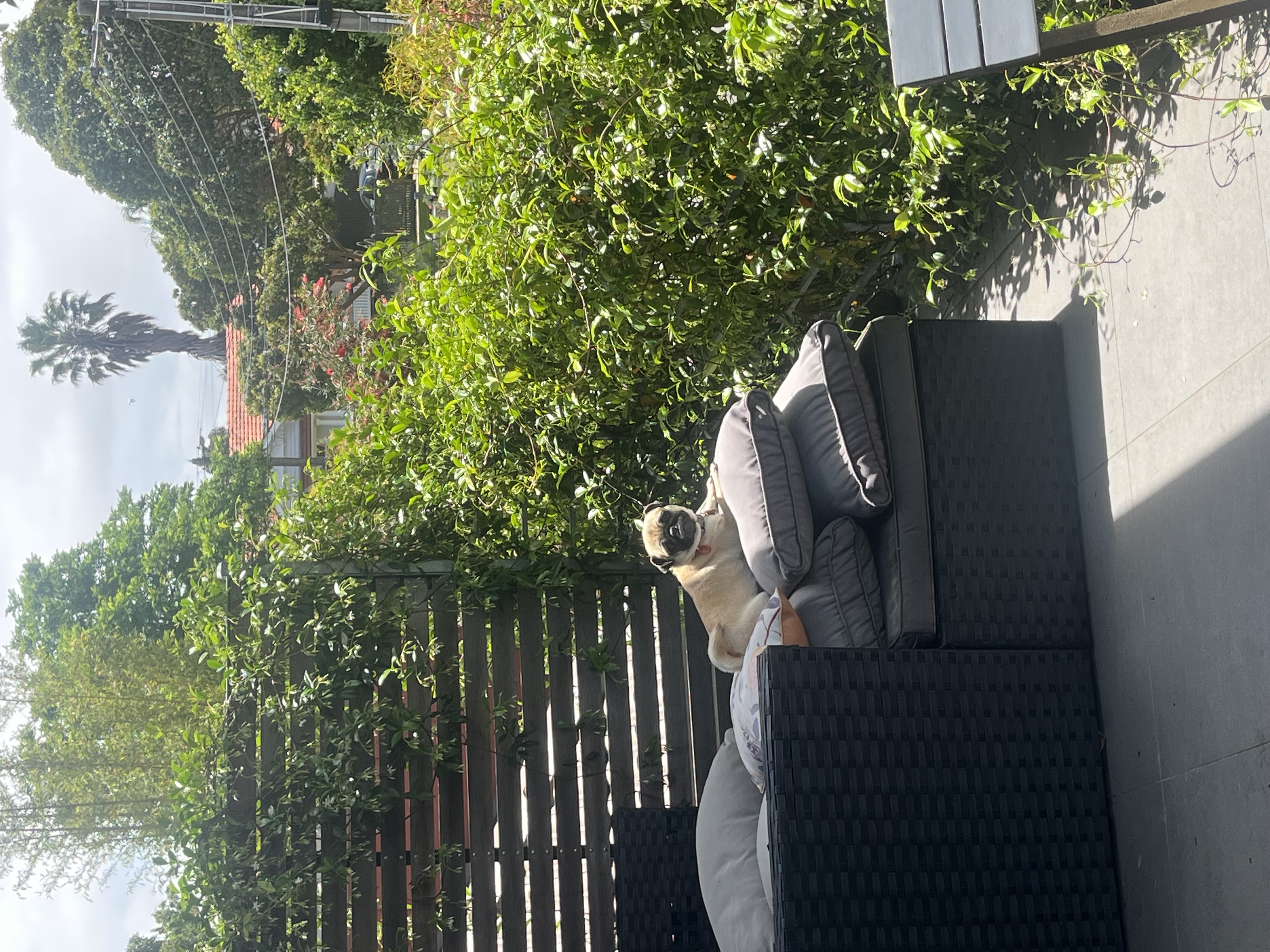 image-11