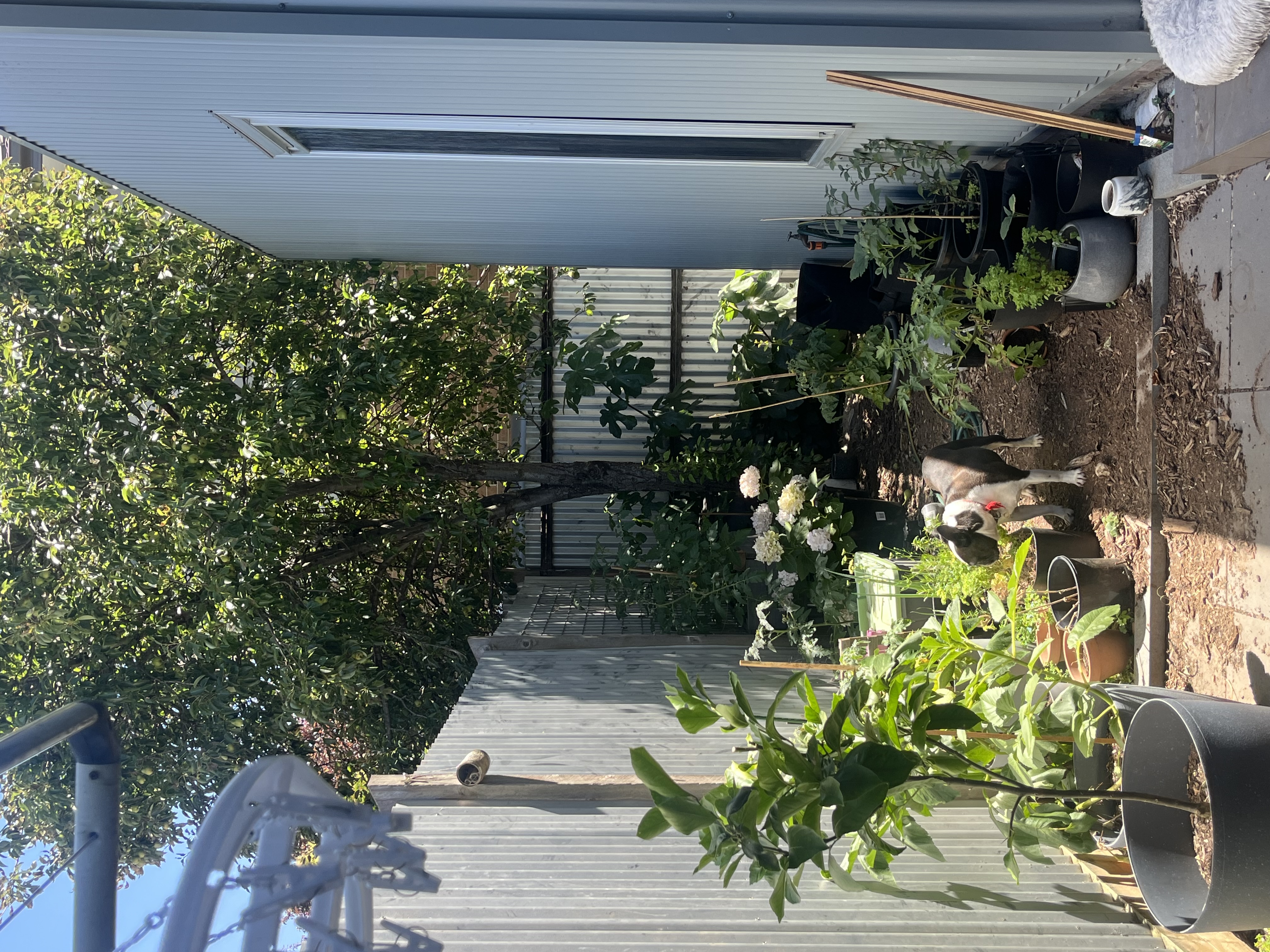 image-16