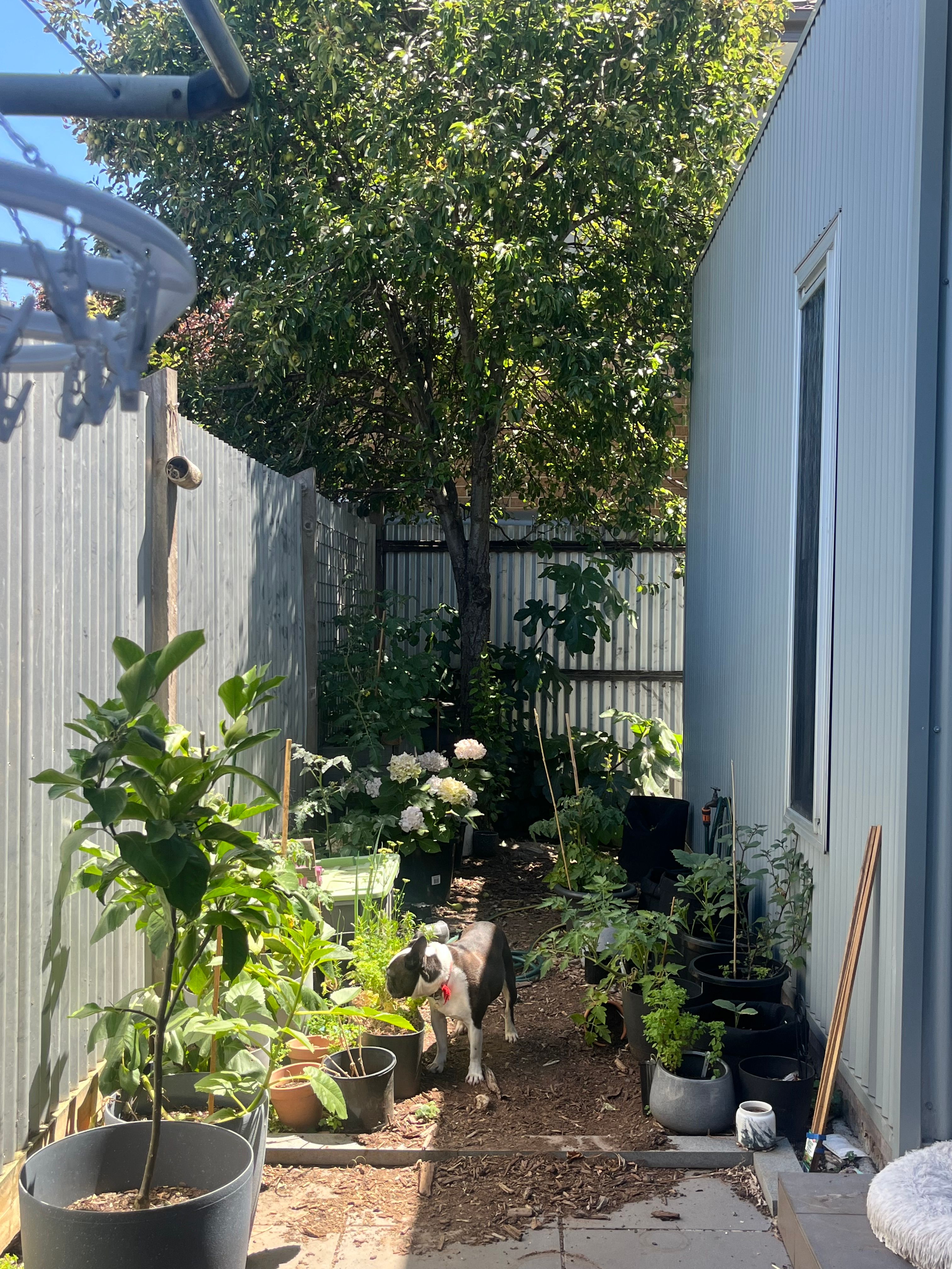 image-16