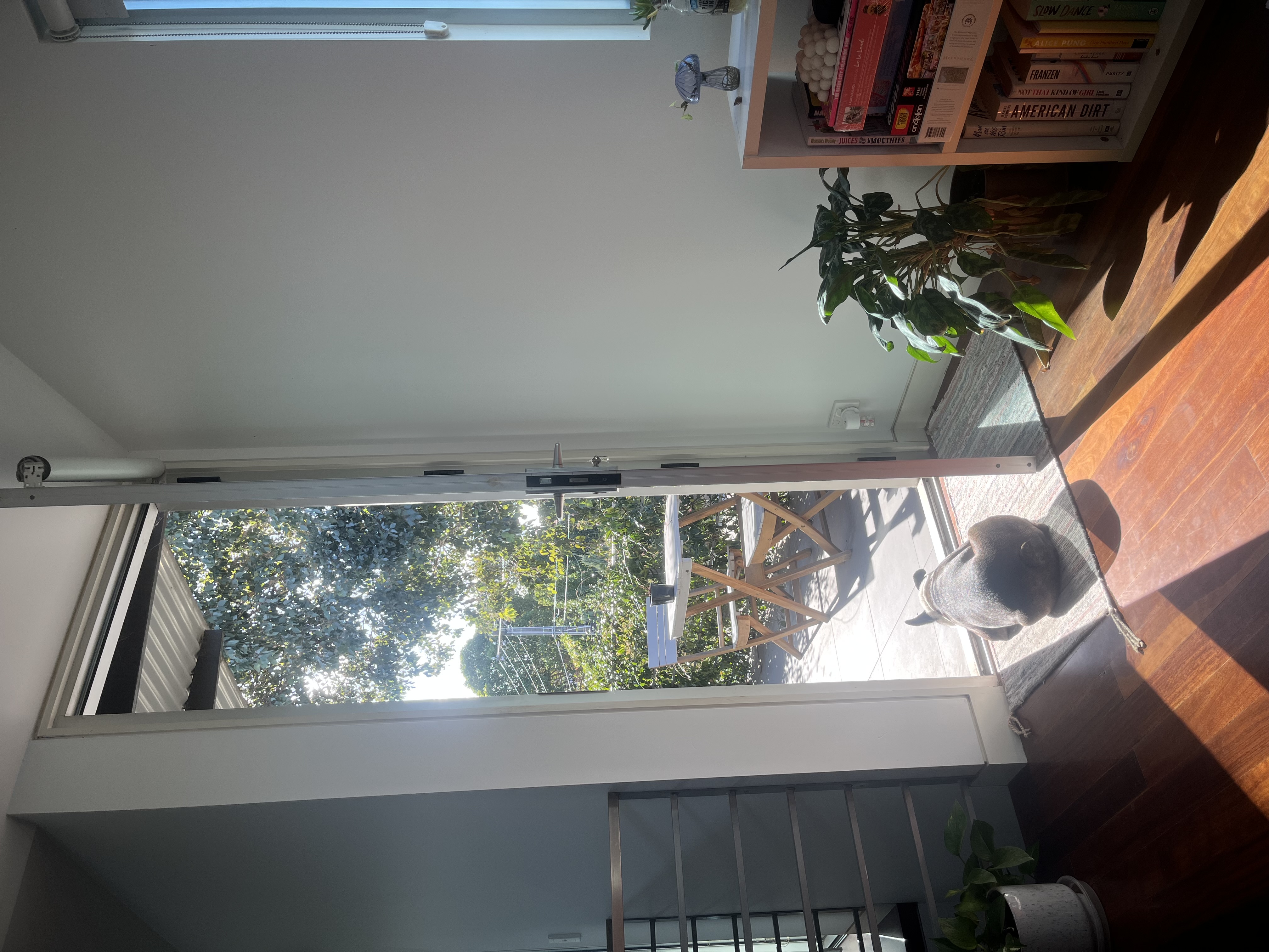 image-14