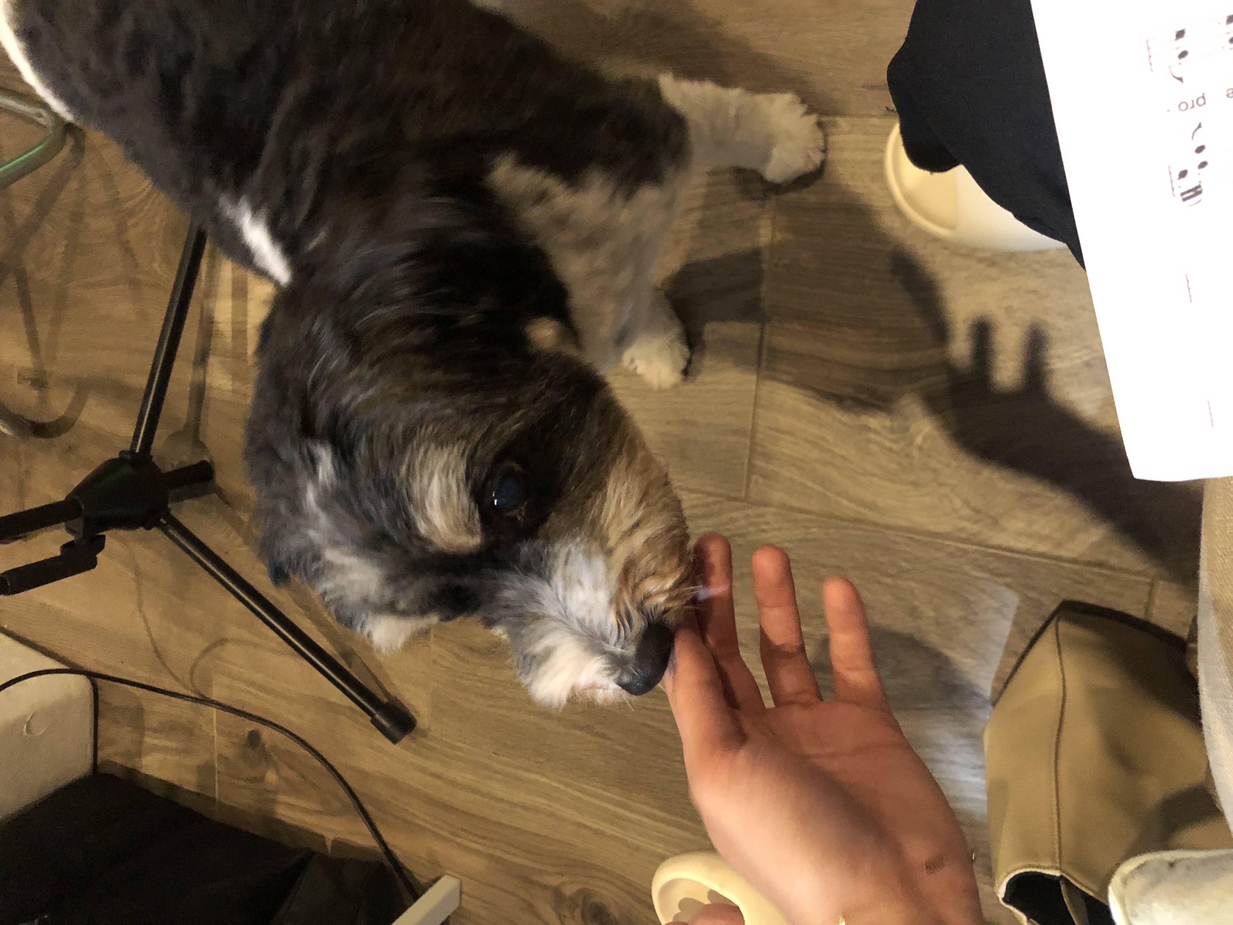 image-8