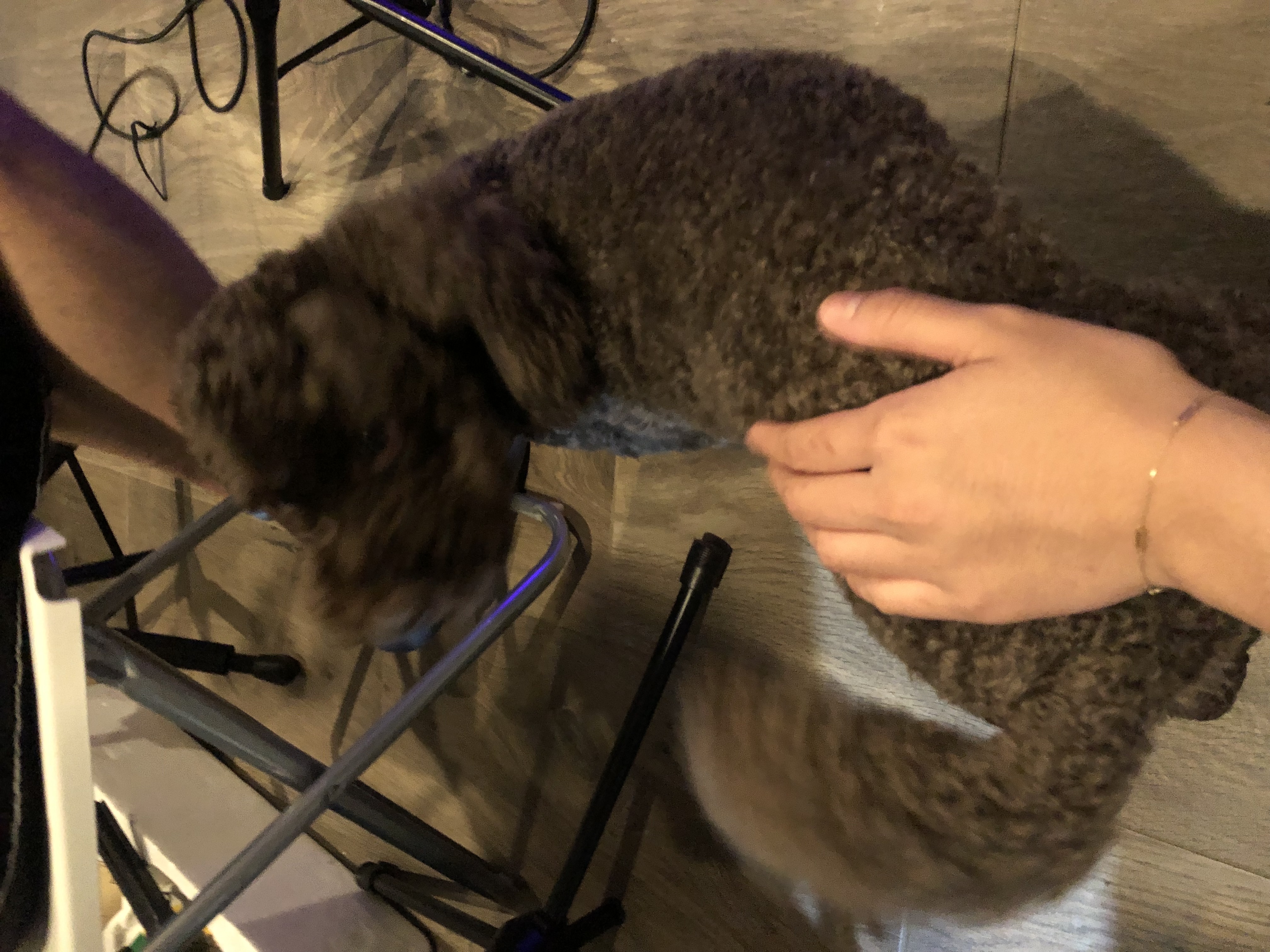 image-9
