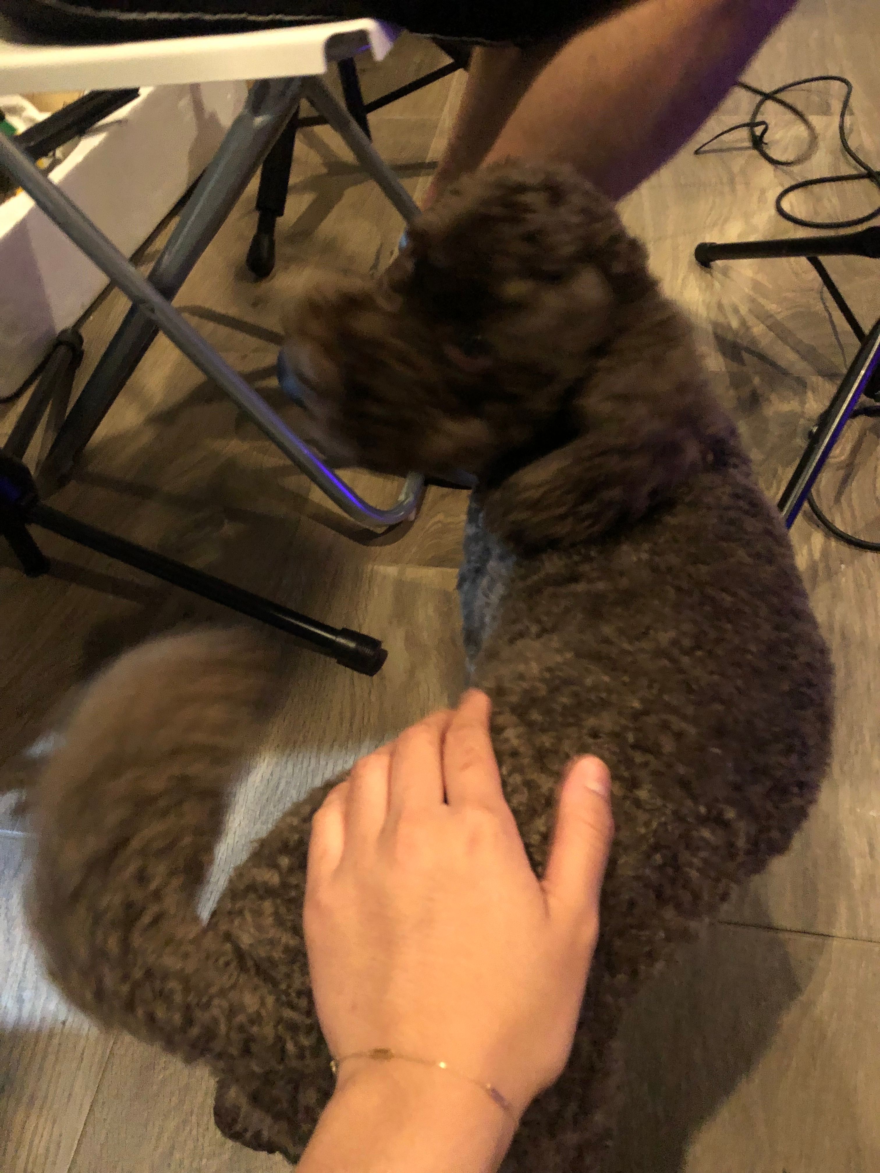 image-9