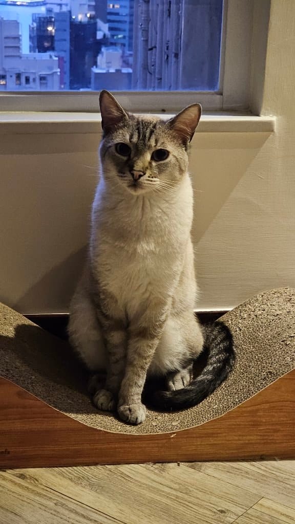 Ares