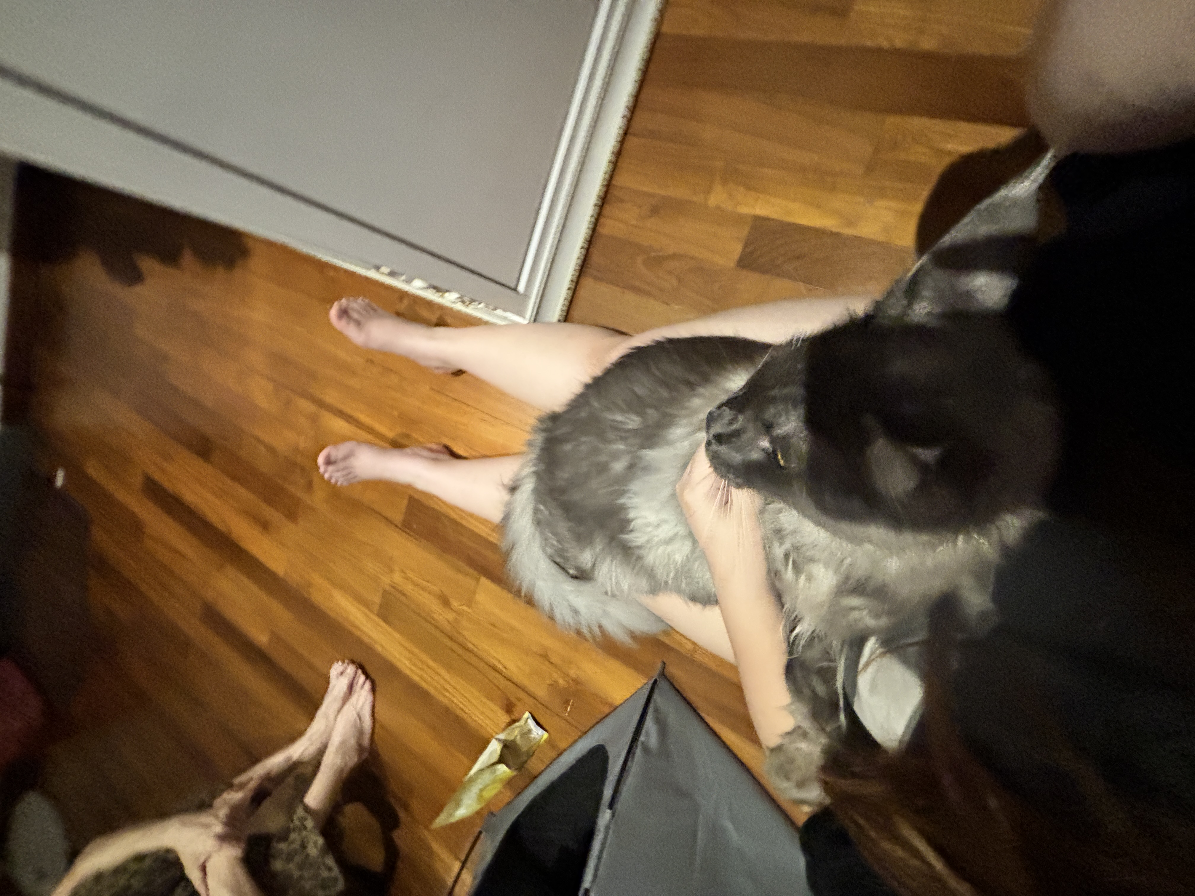 image-6