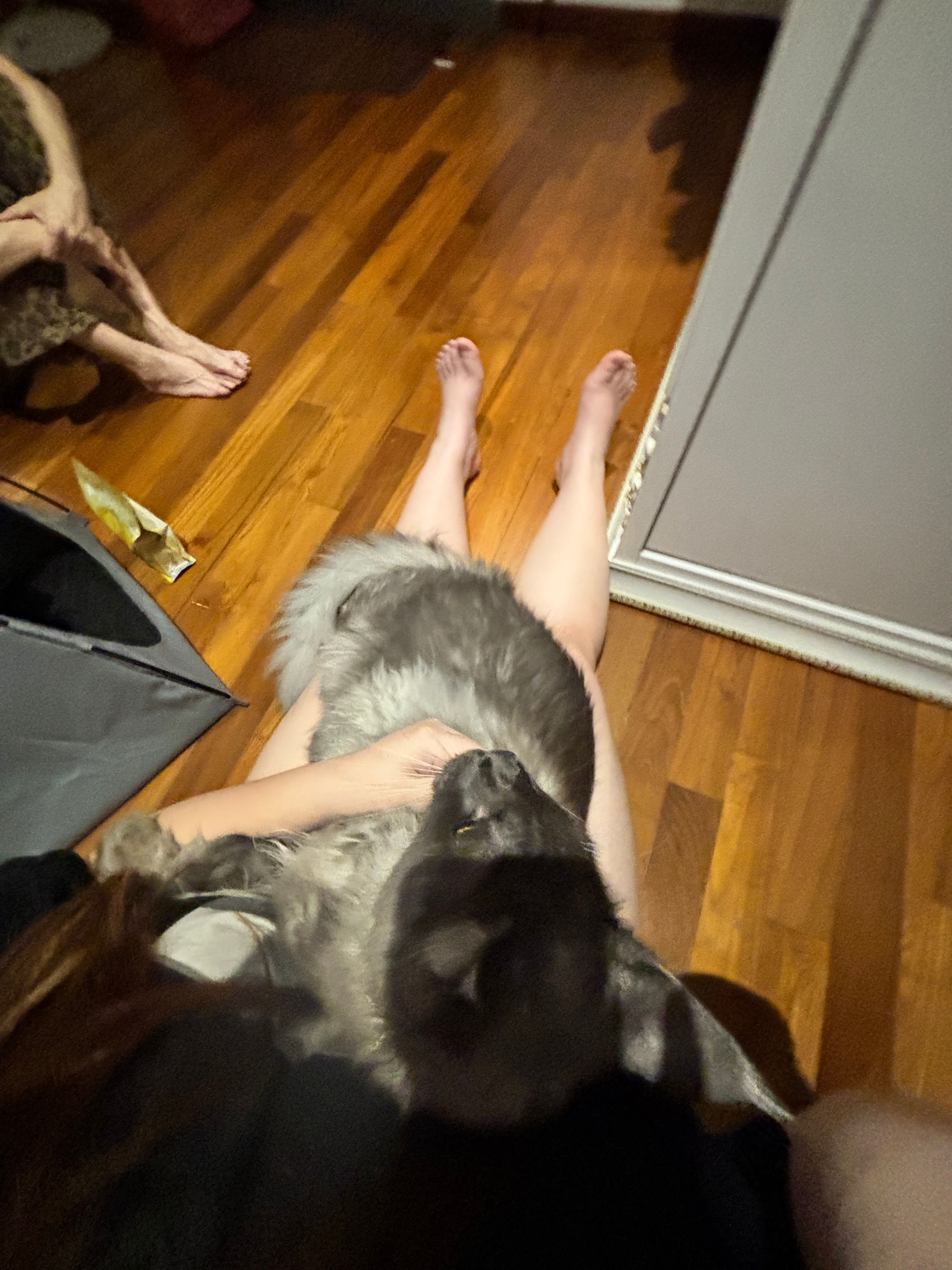 image-6