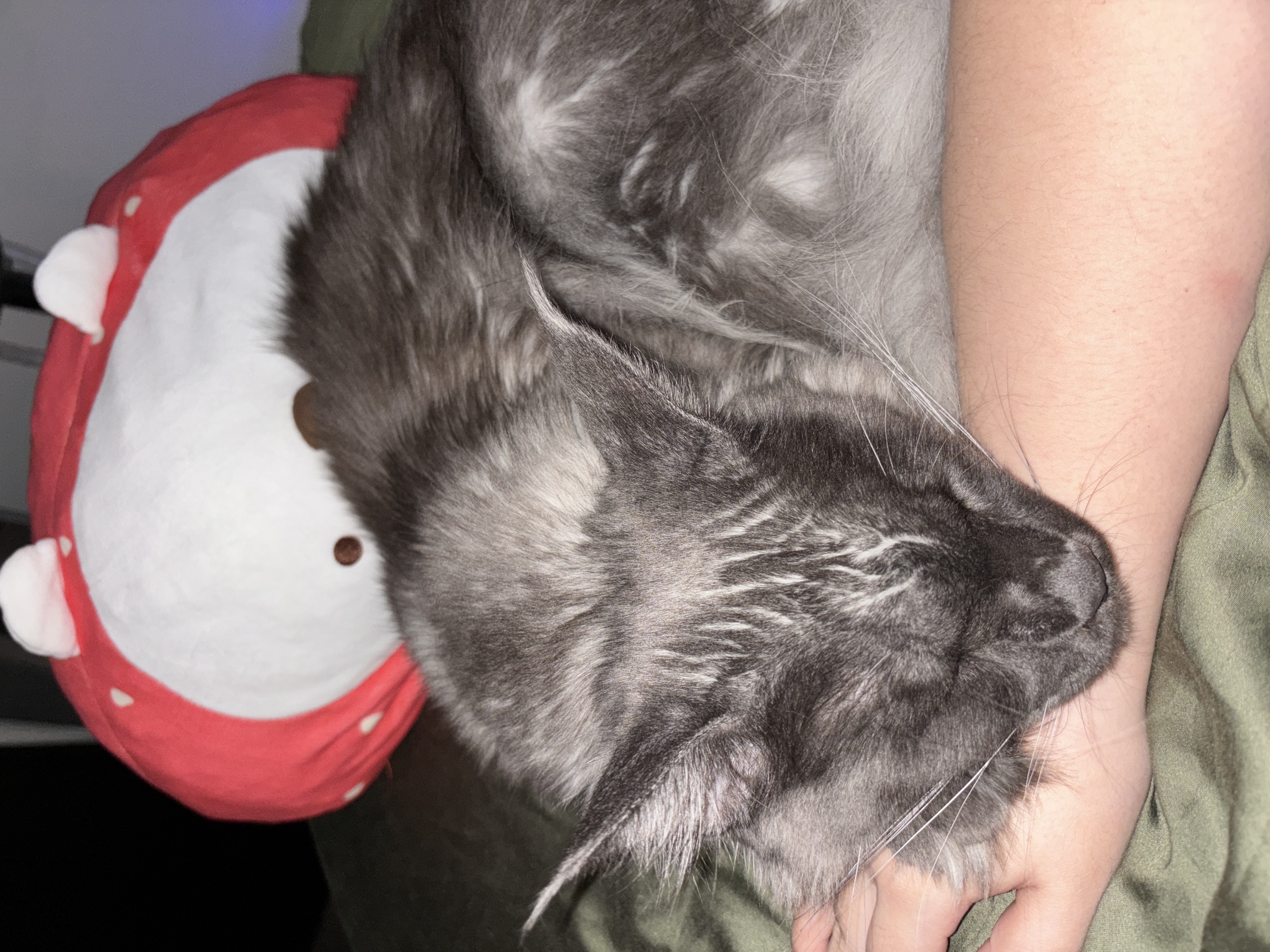 image-5