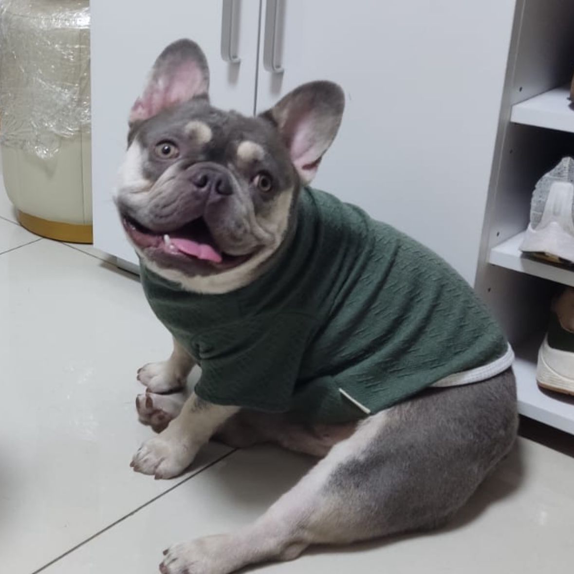 Kyo