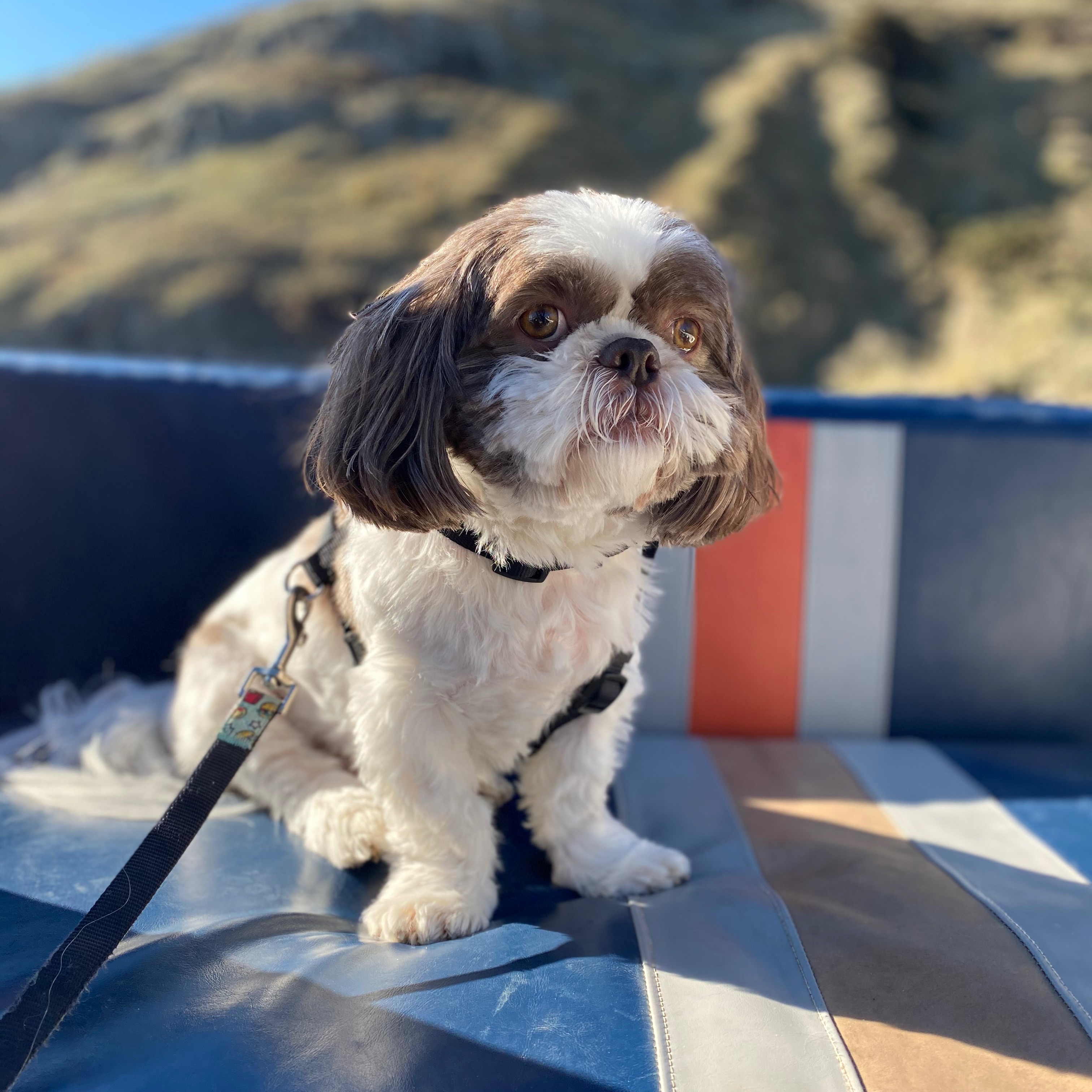 Zuko