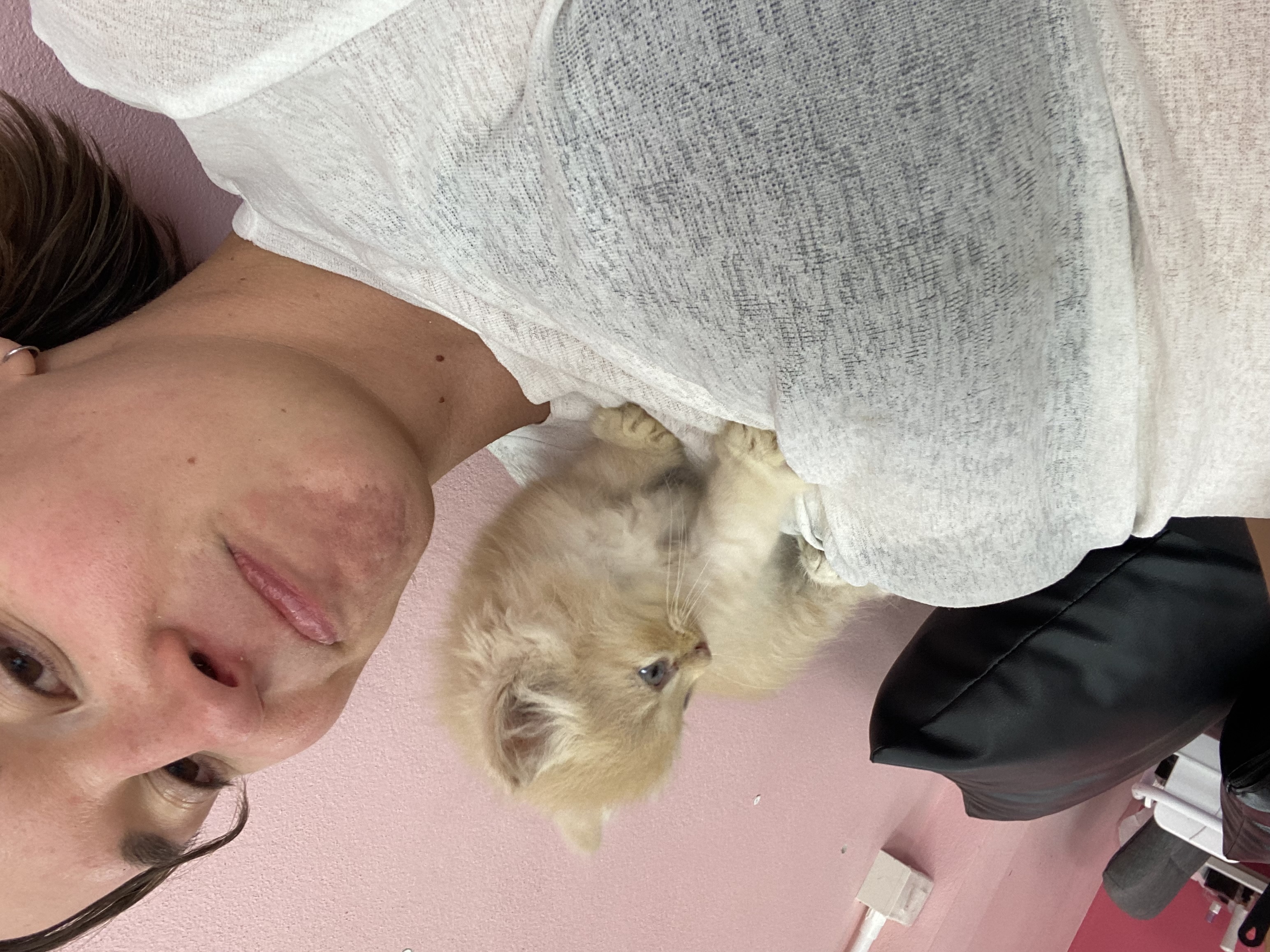 image-3