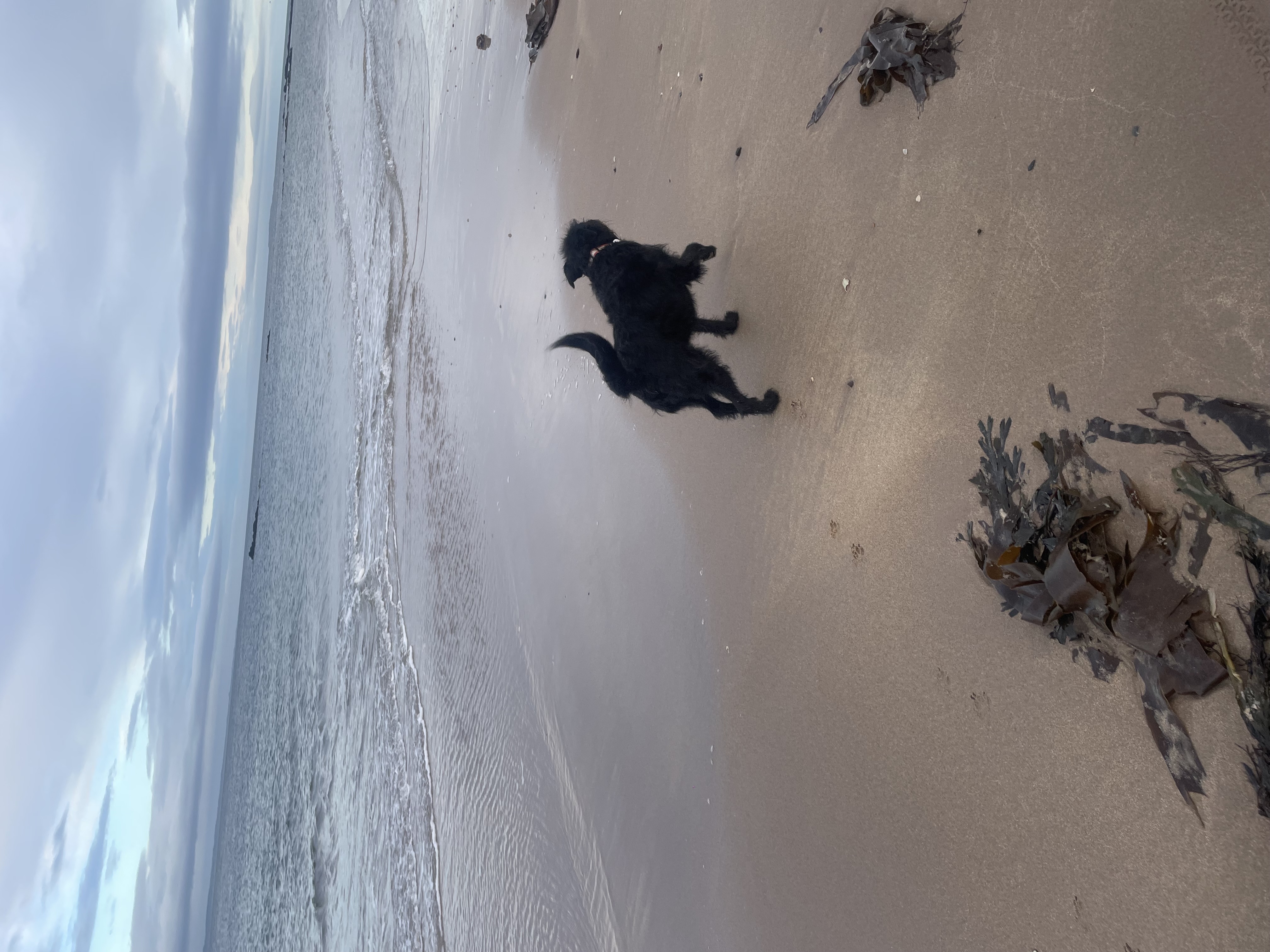 image-6