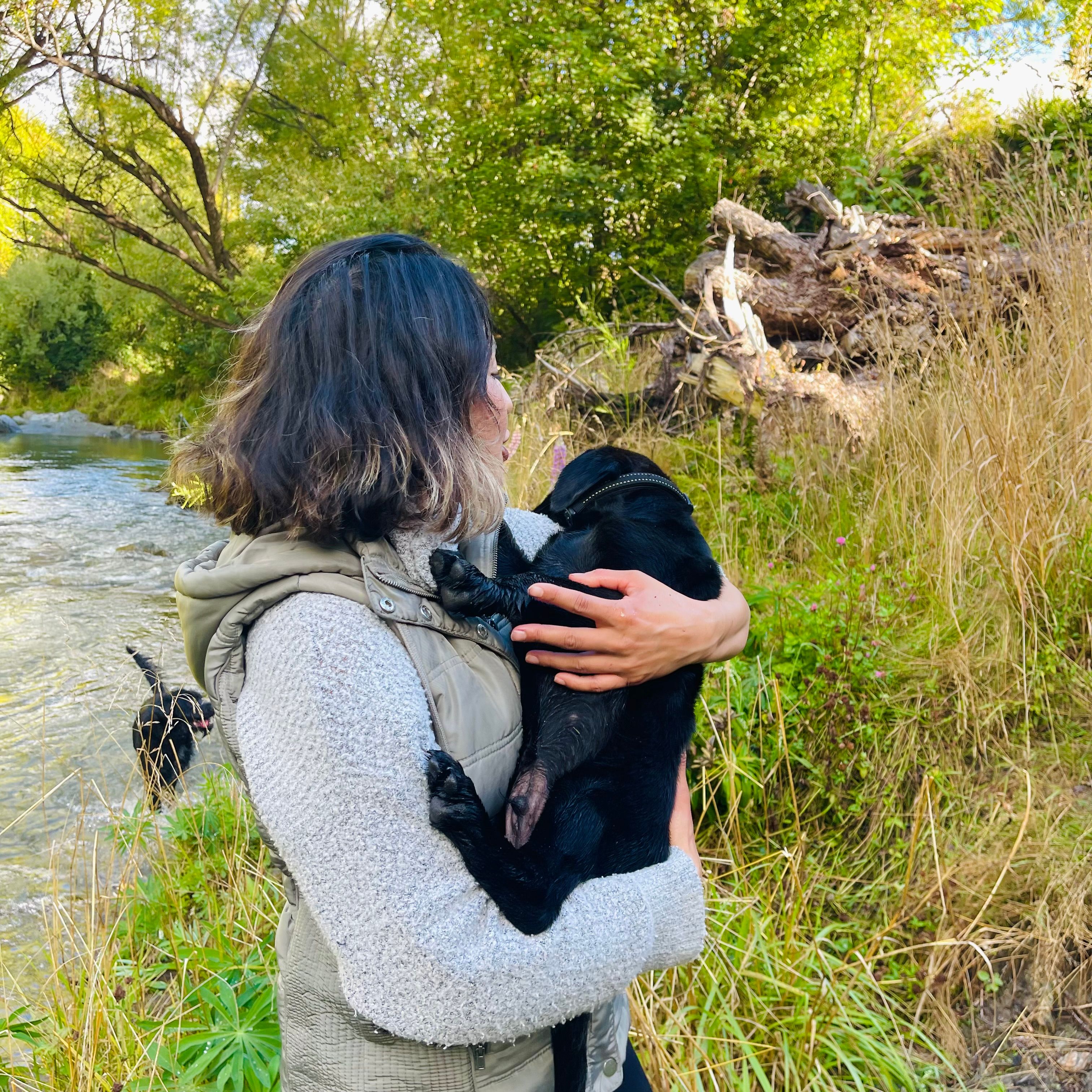 image-1