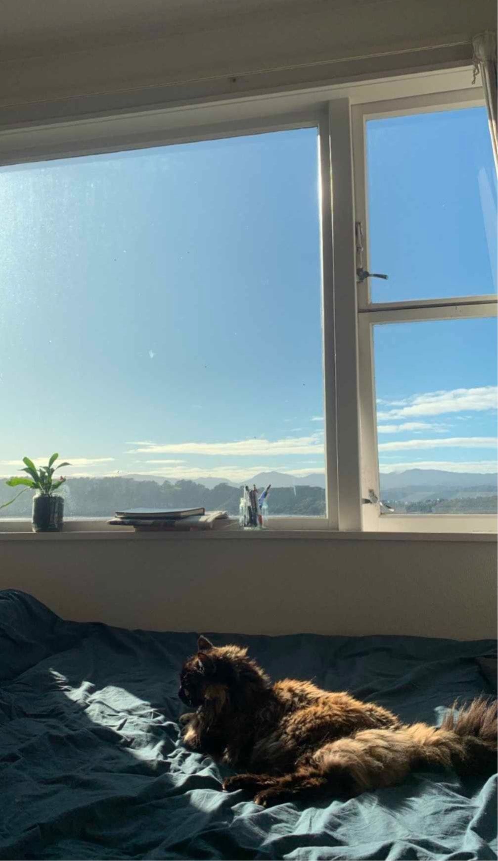 image-7