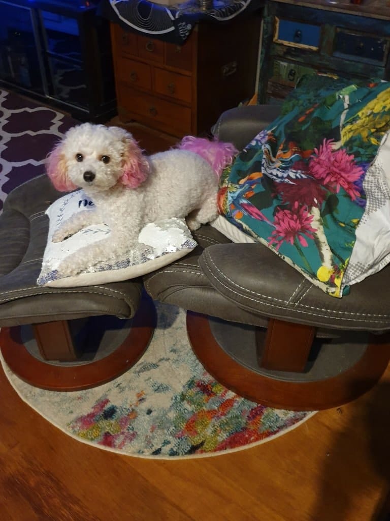 image-16