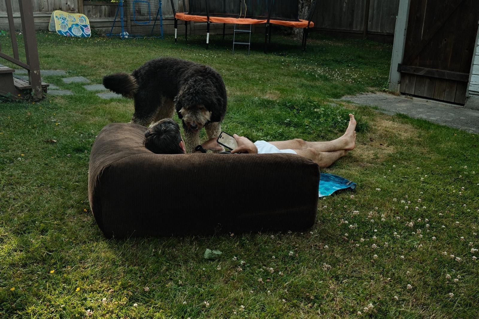 image-9