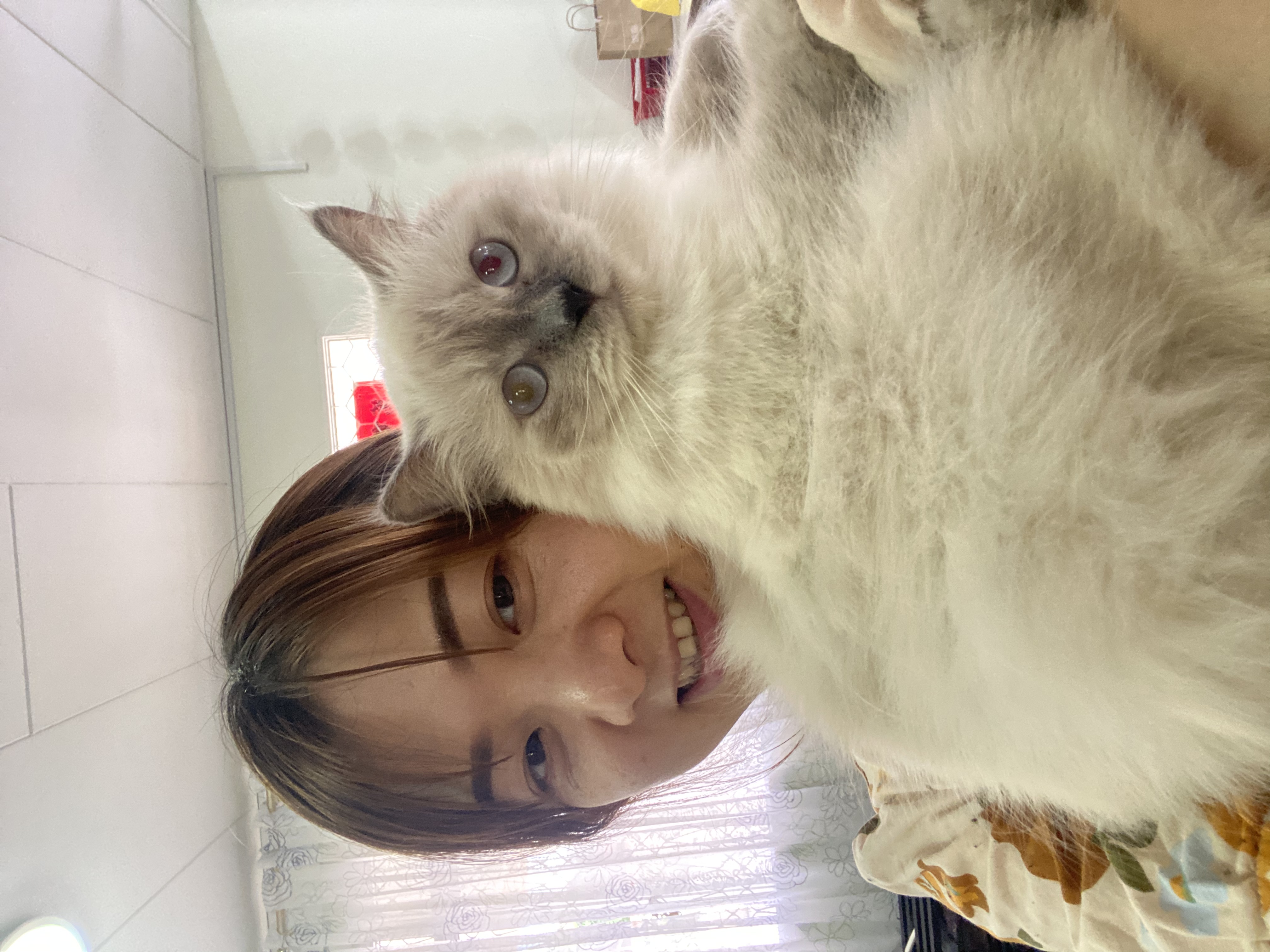 image-7