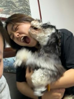 image-9