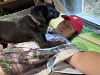 image-3