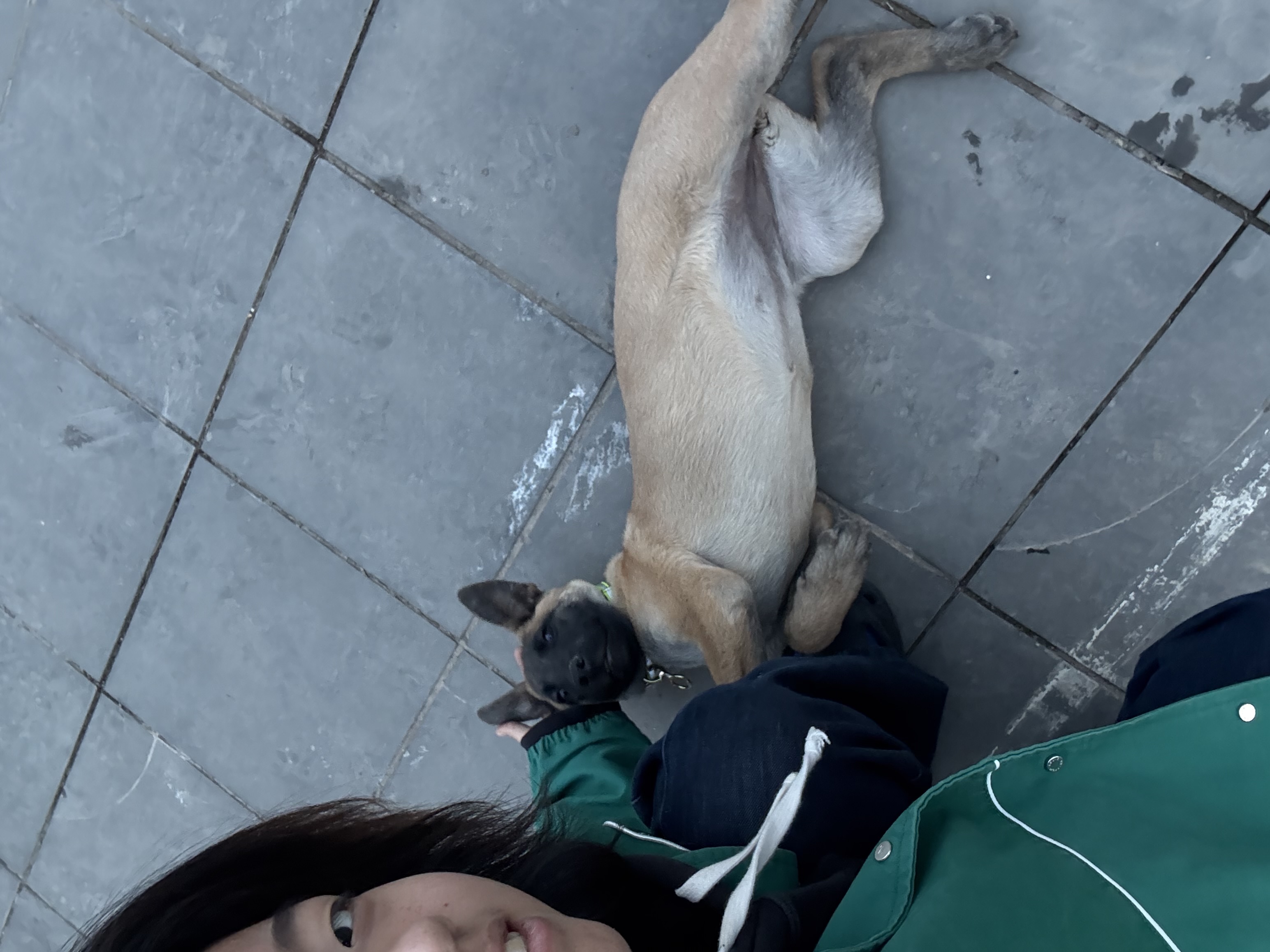 image-8