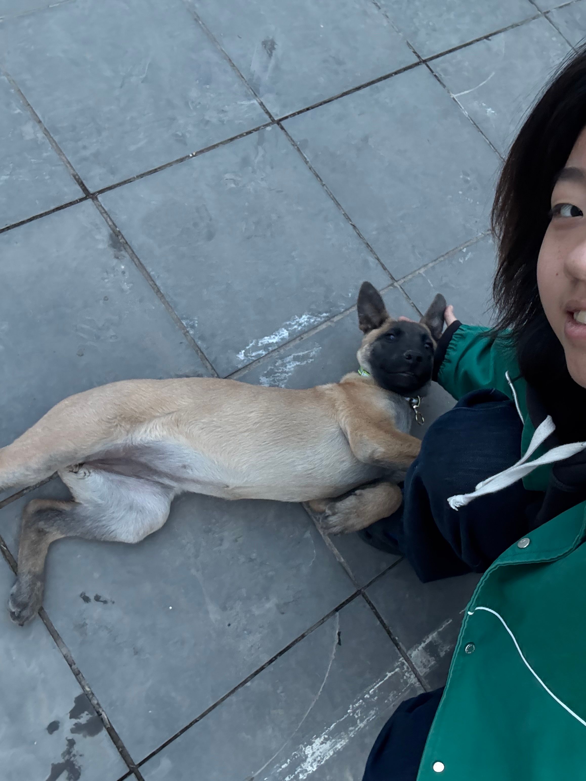 image-8