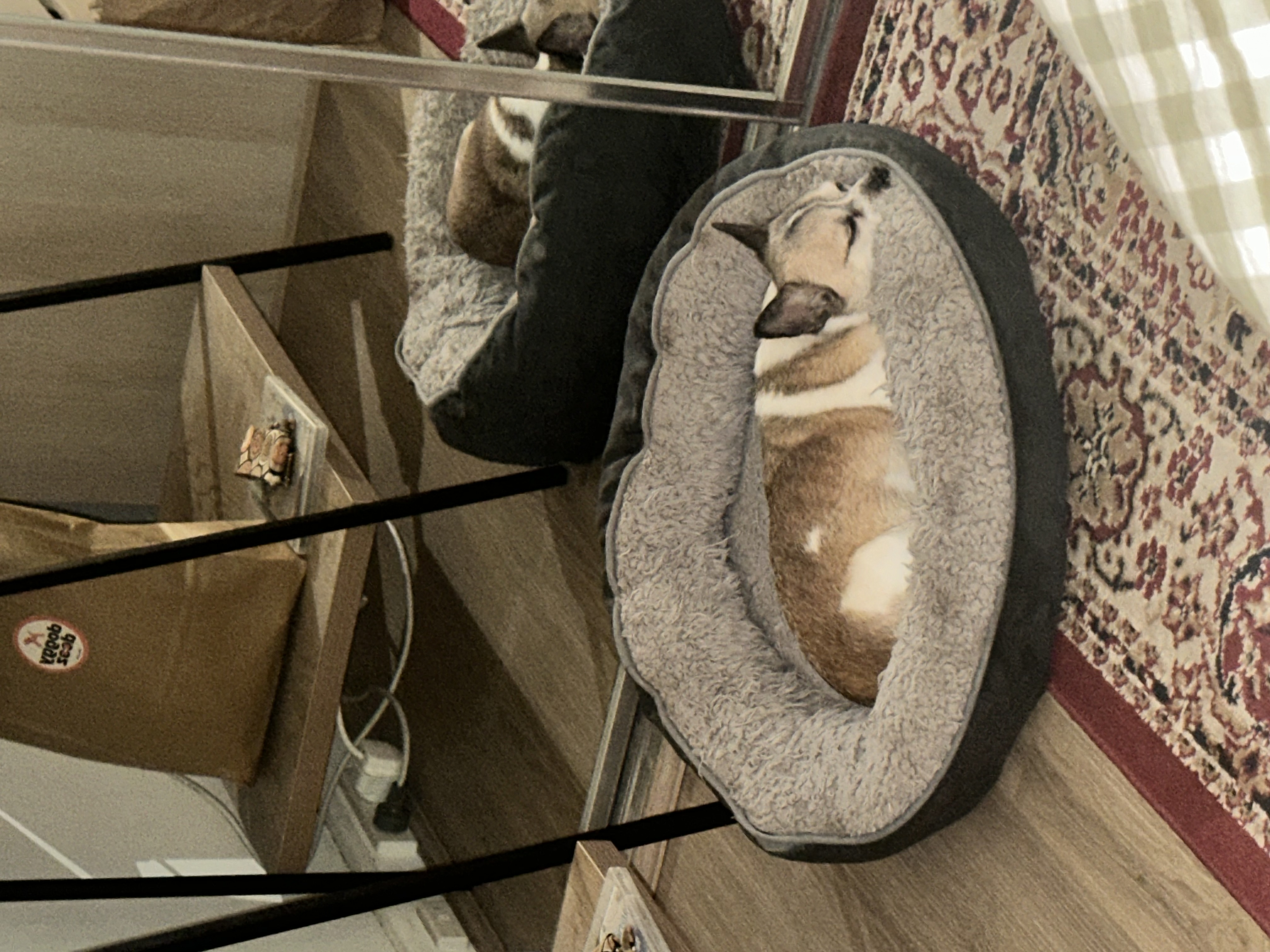 image-6