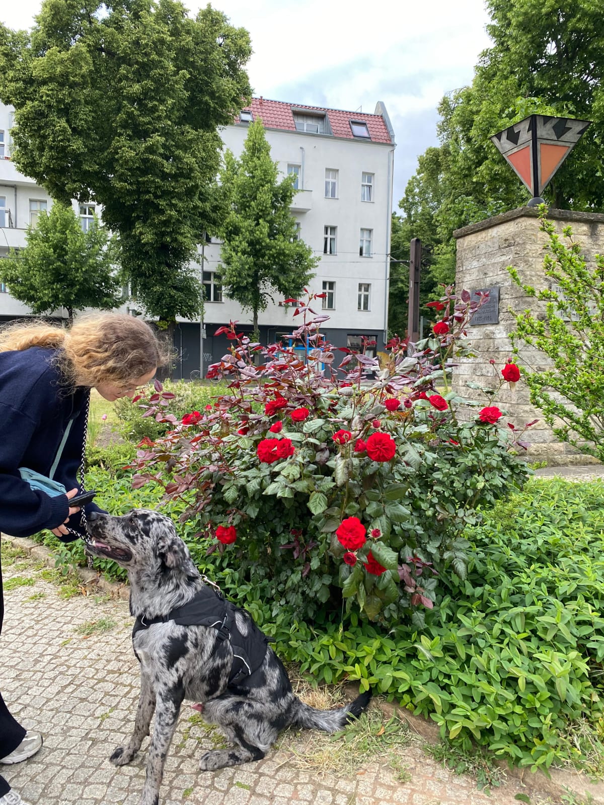 image-0