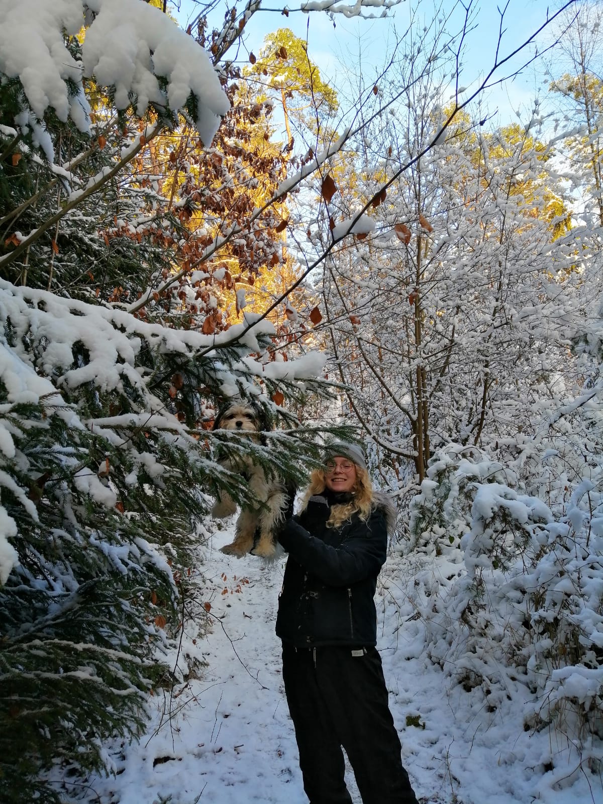 image-4