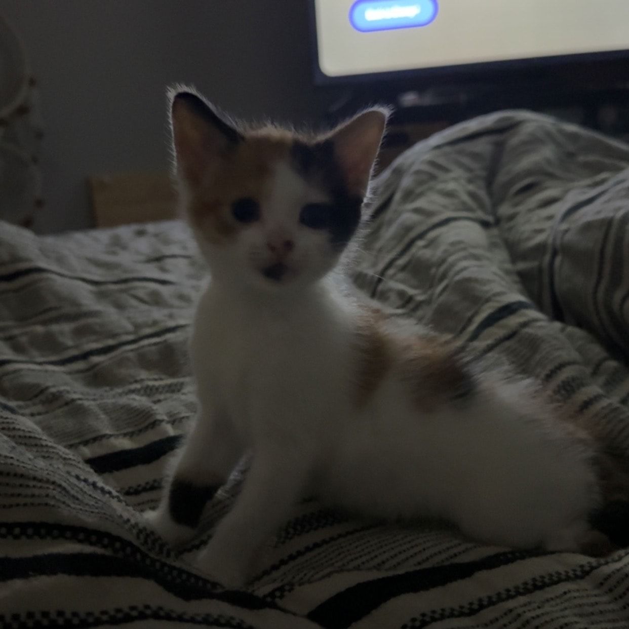 Tinkerbell