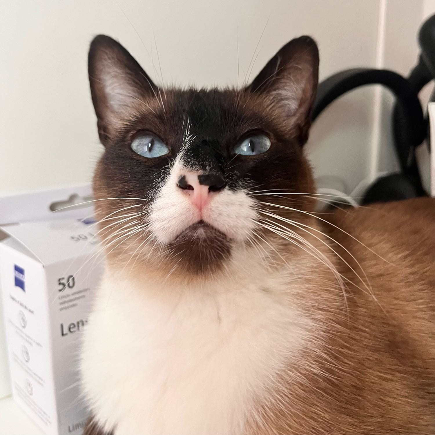 Sebastian 