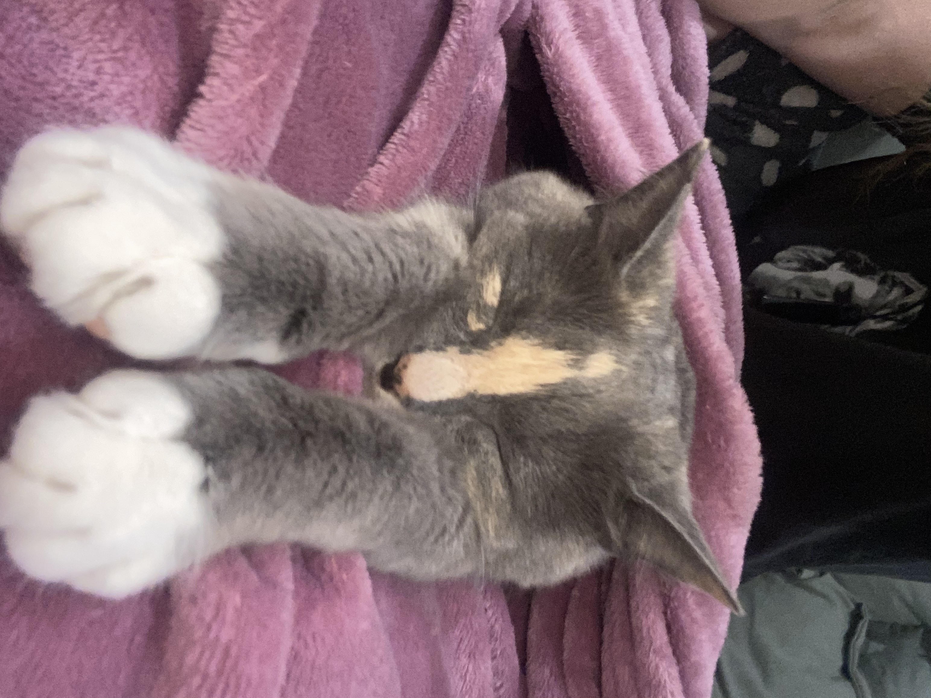 image-6