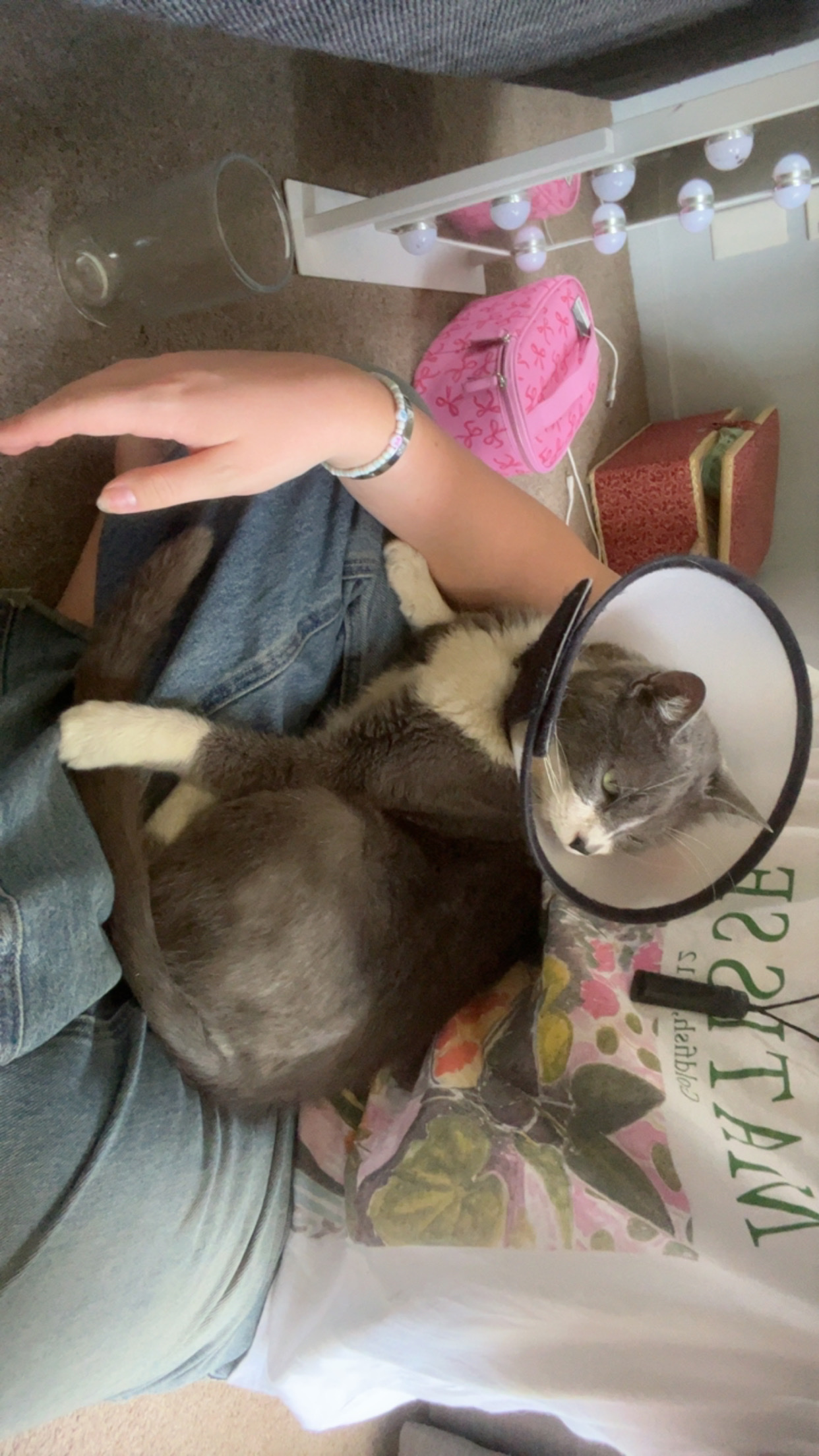 image-7