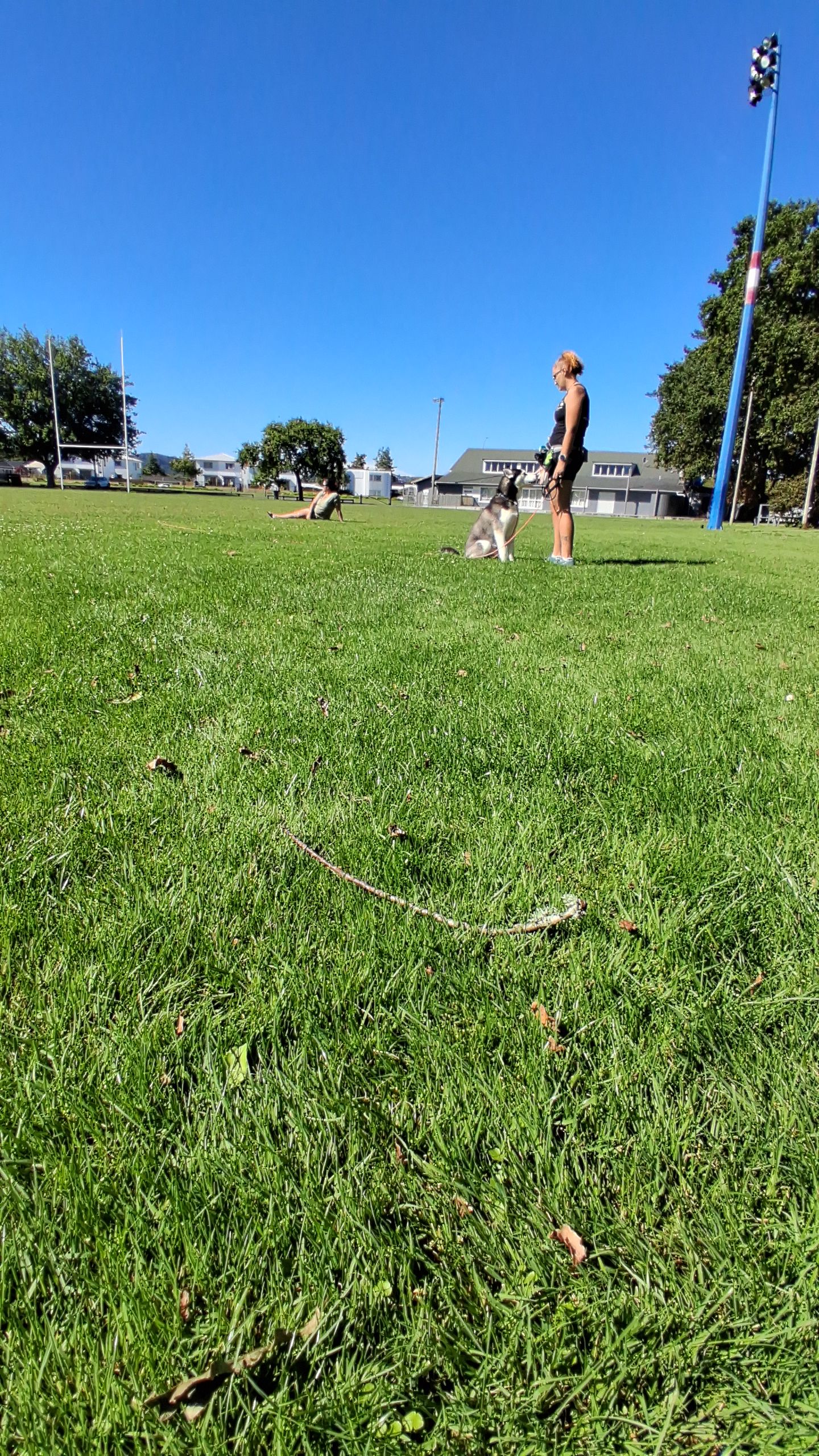 image-8