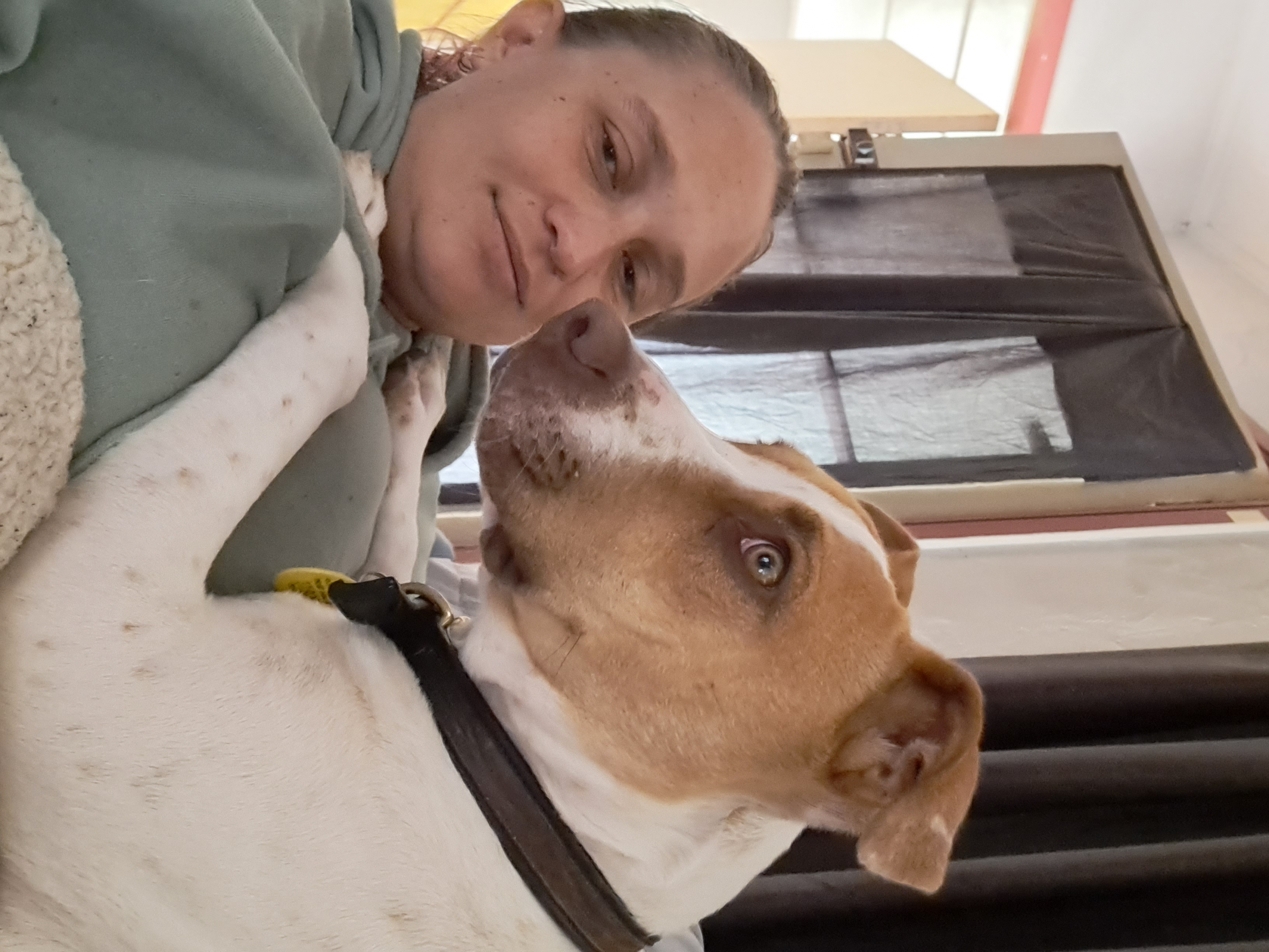 image-11