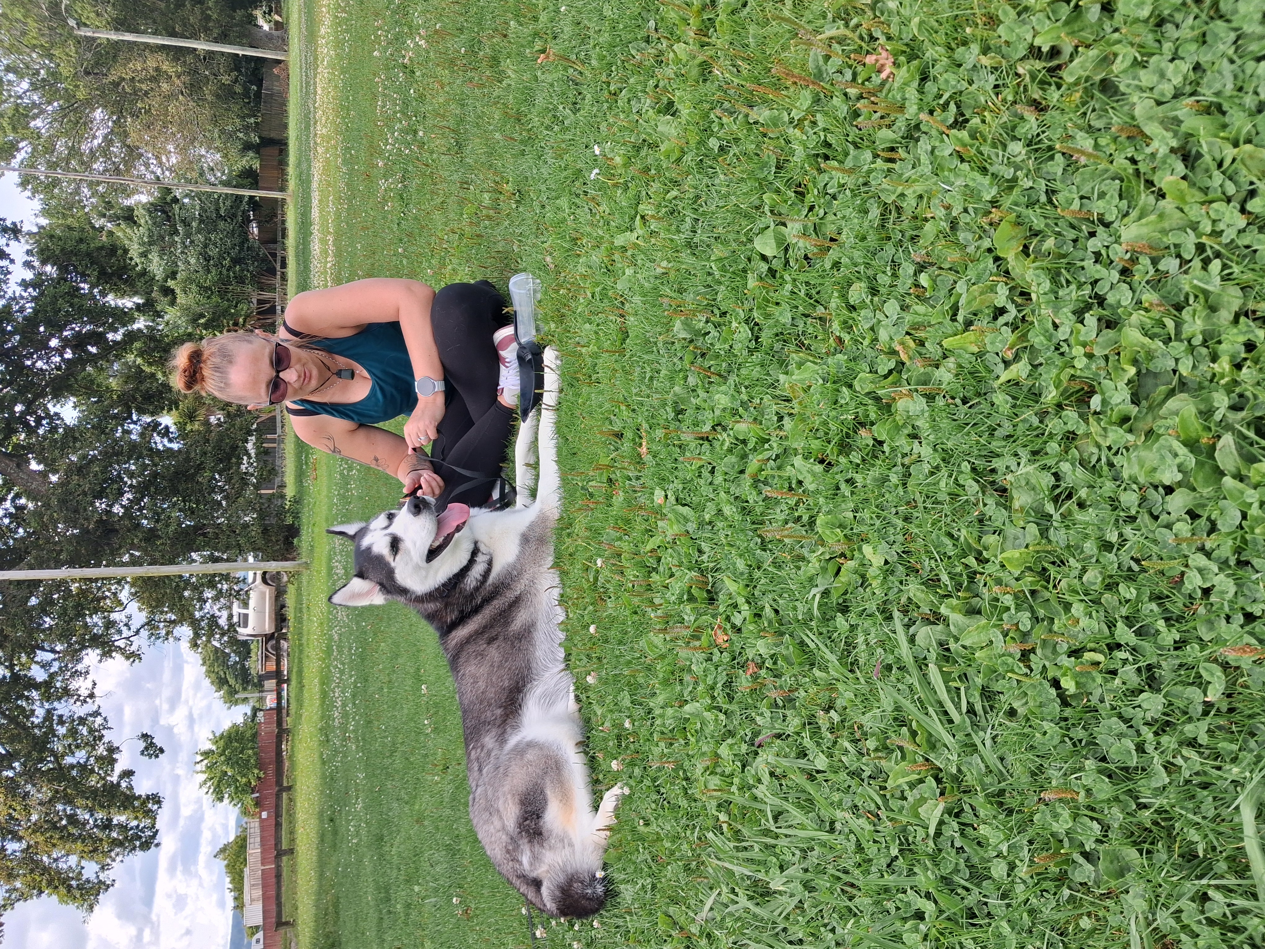 image-6
