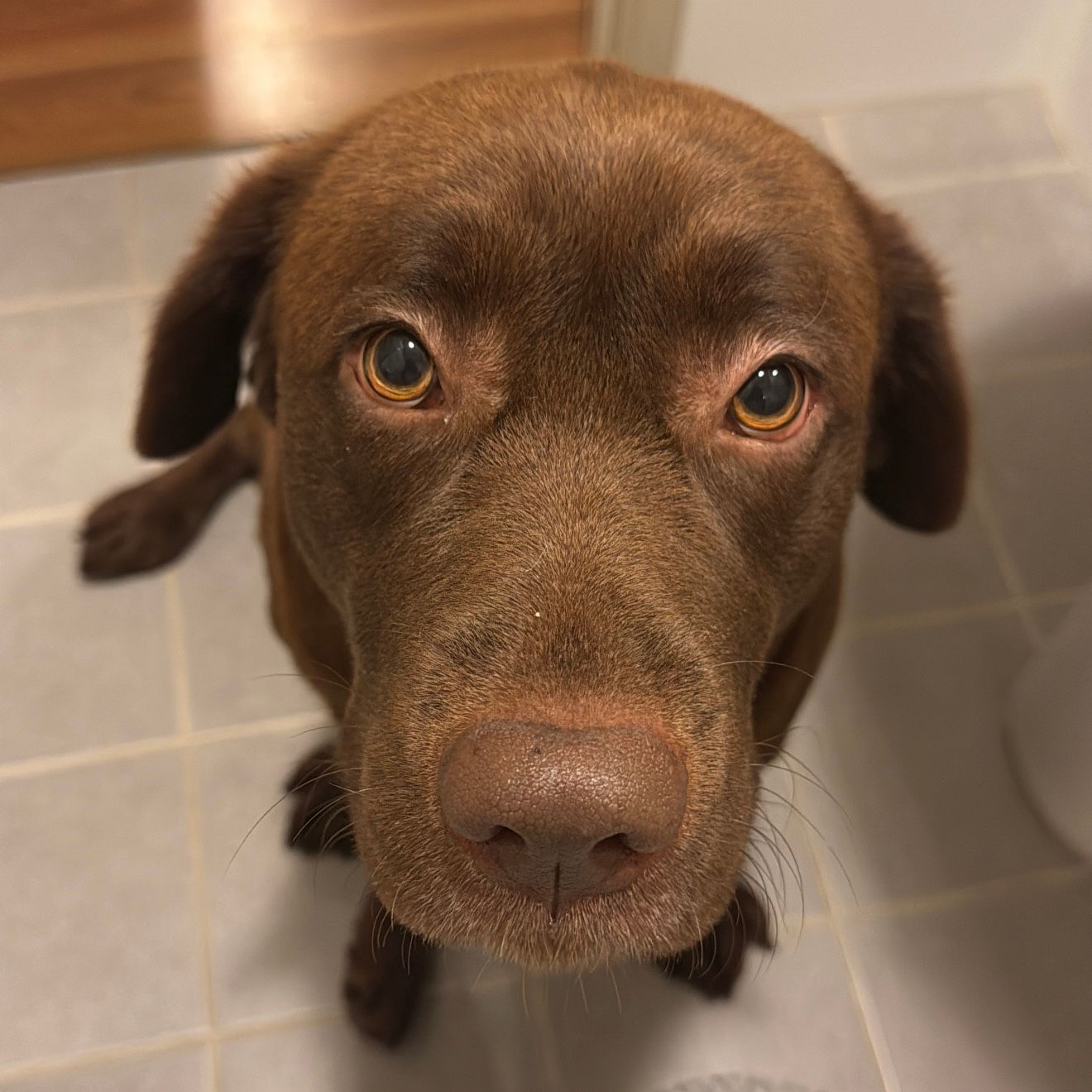 Coco