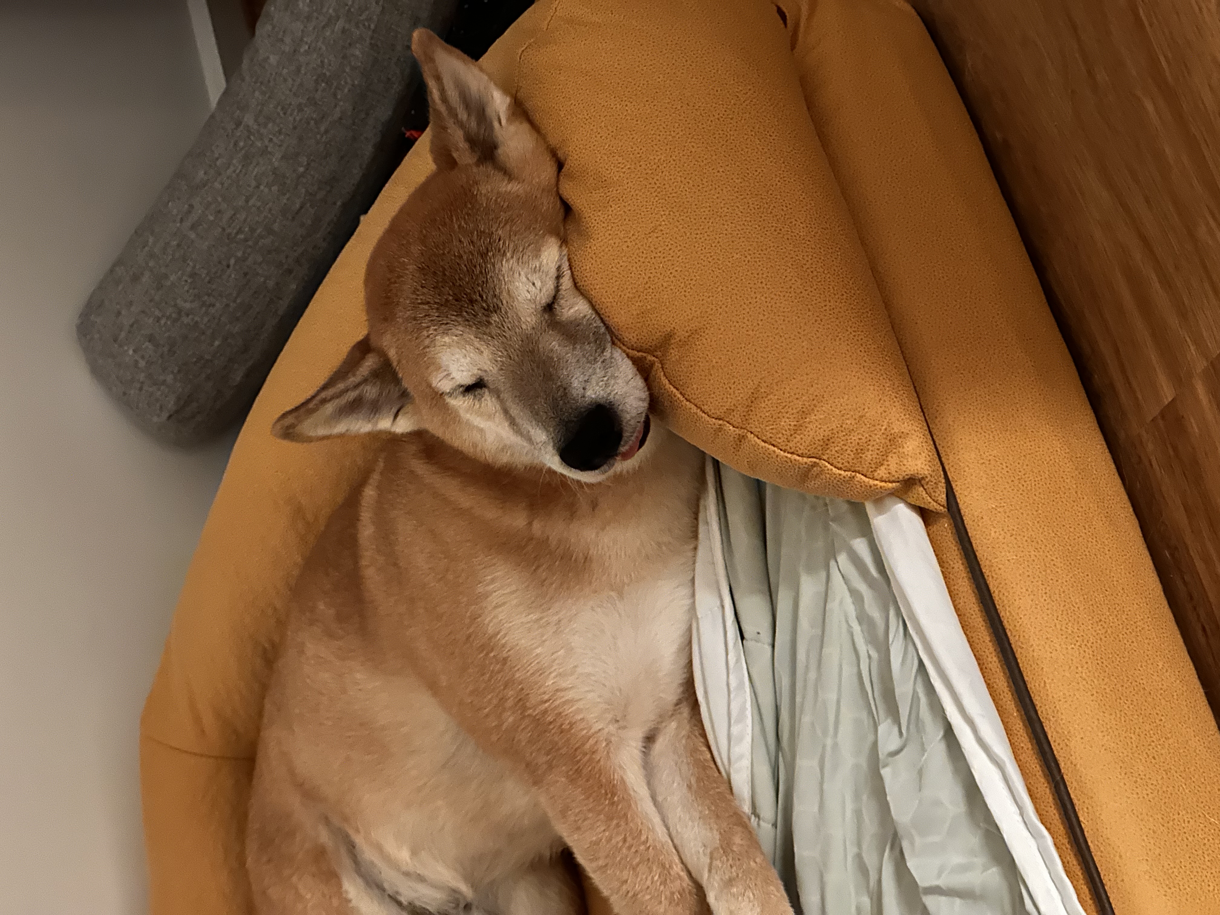 image-8