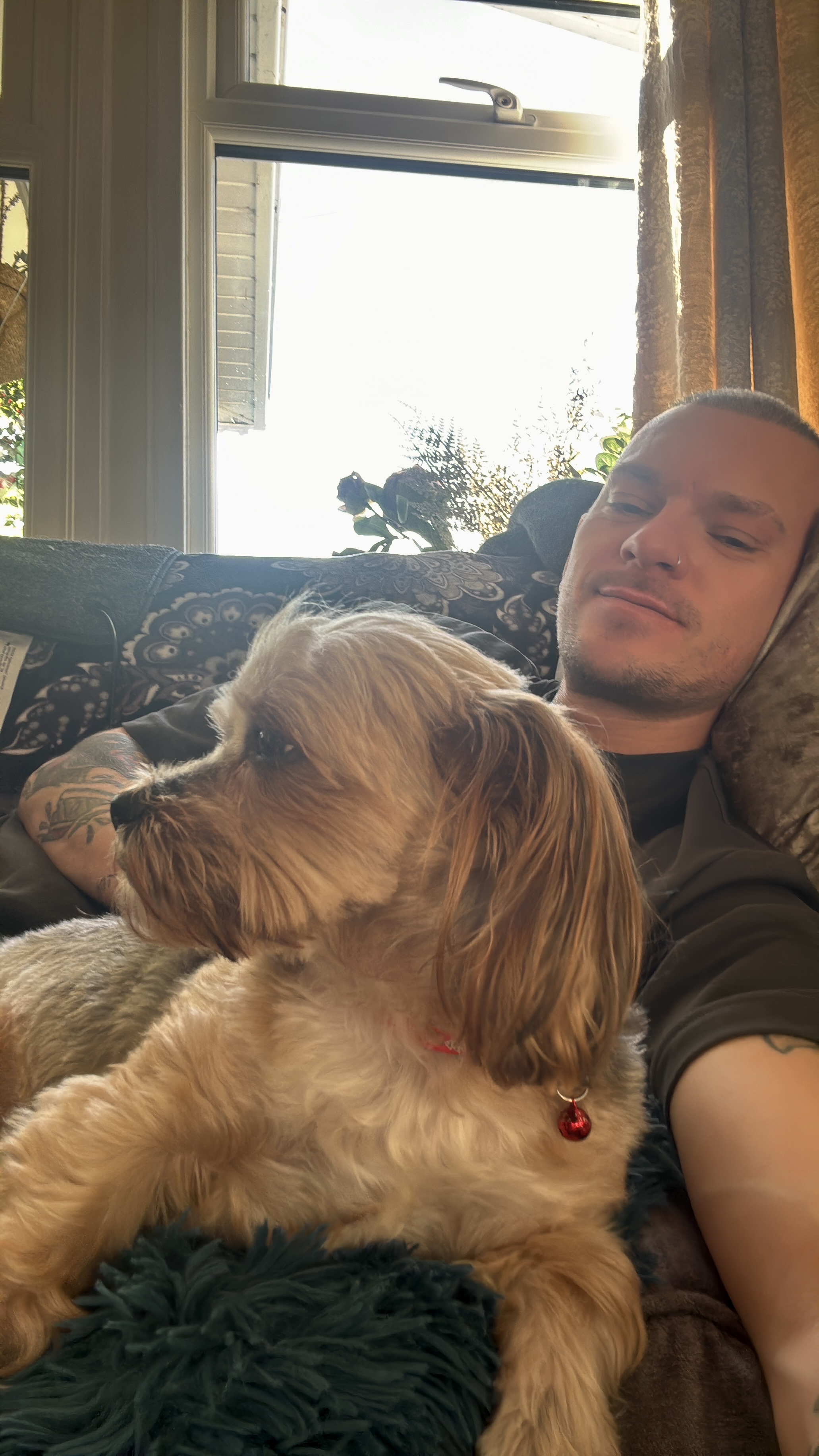 image-6